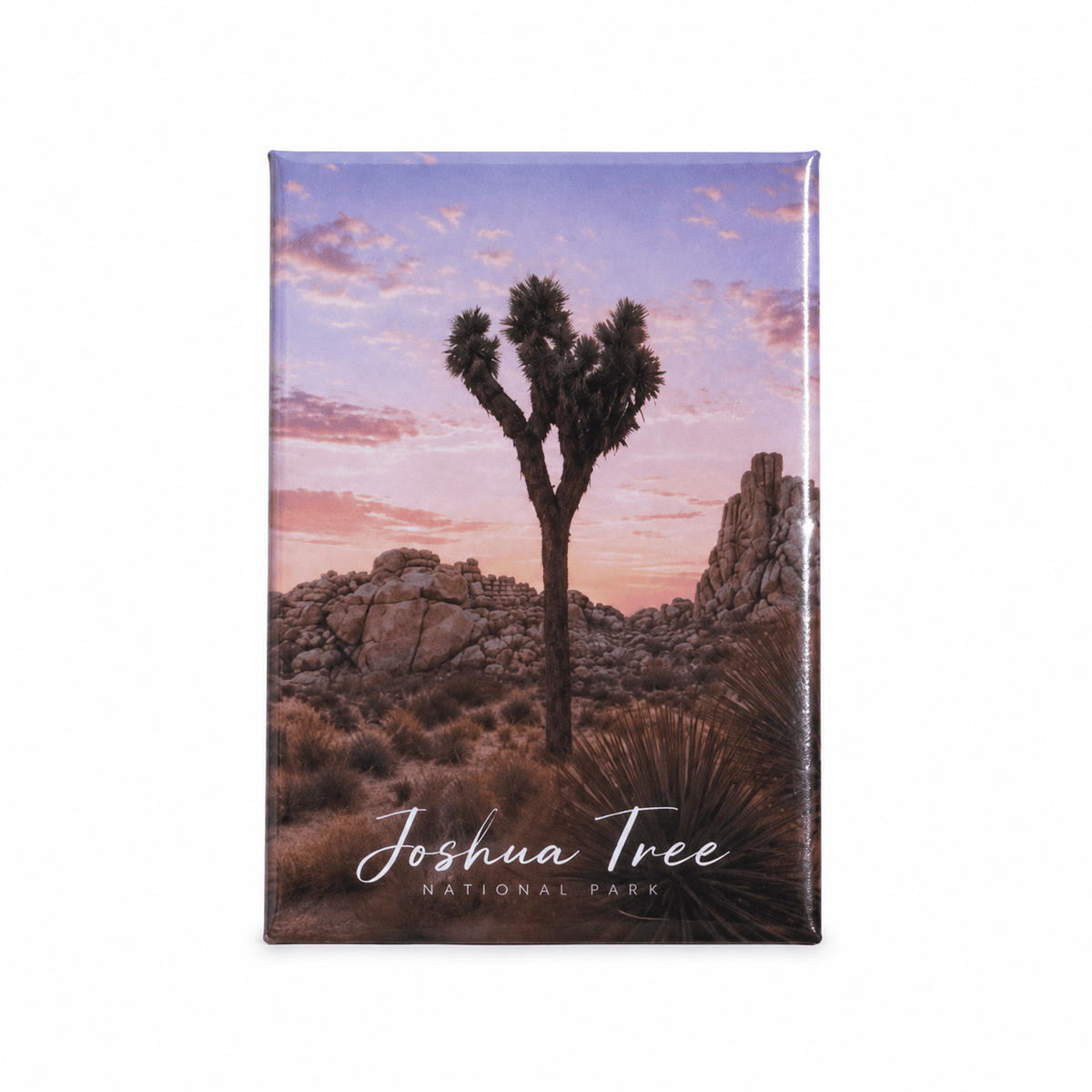 August Sun Golden Hour Joshua Tree | Magnet available in Joshua Tree at JT Trading Post