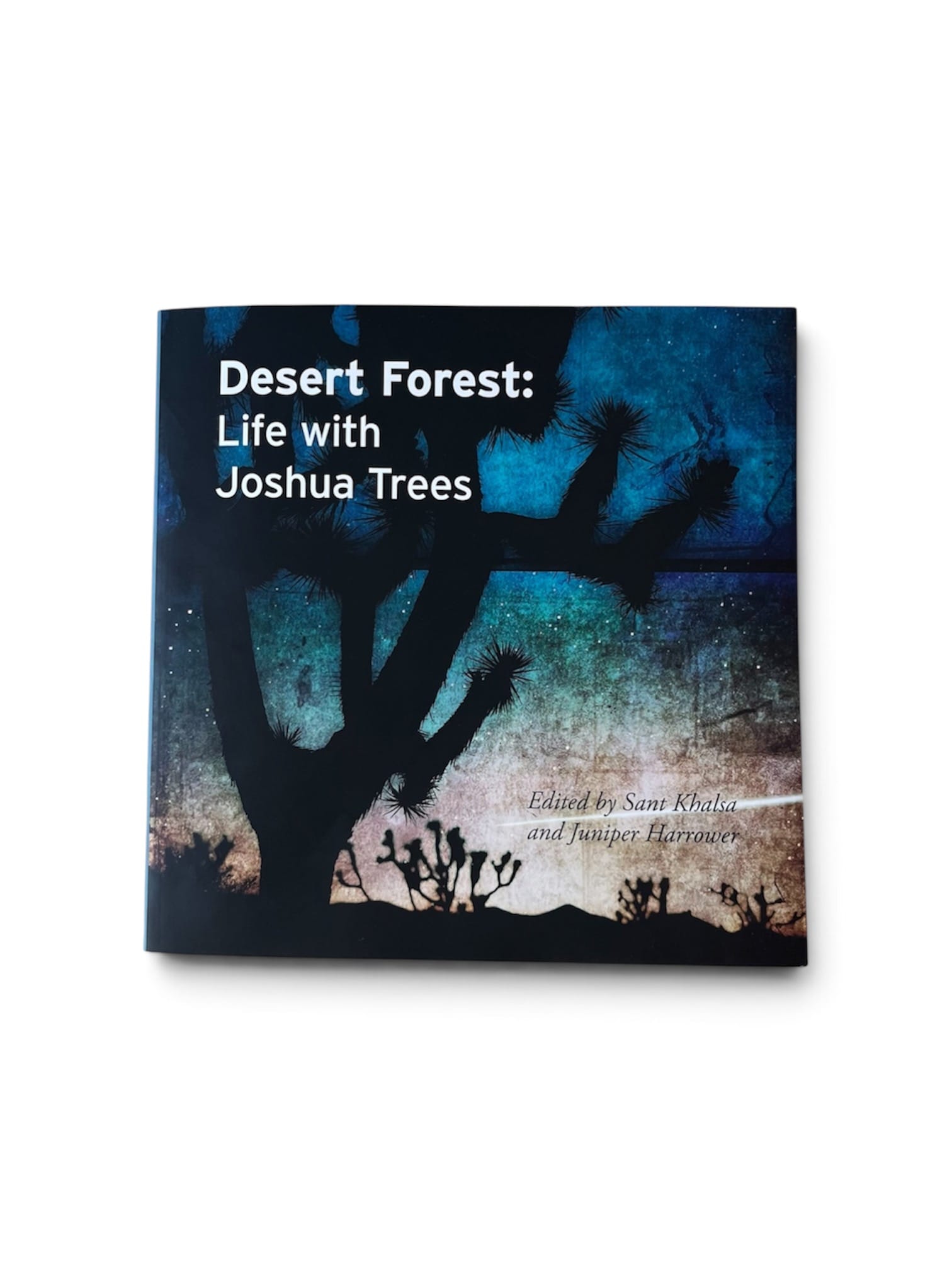 JTTP Products Desert Forest Life With Joshua Trees available in Joshua Tree at JT Trading Post