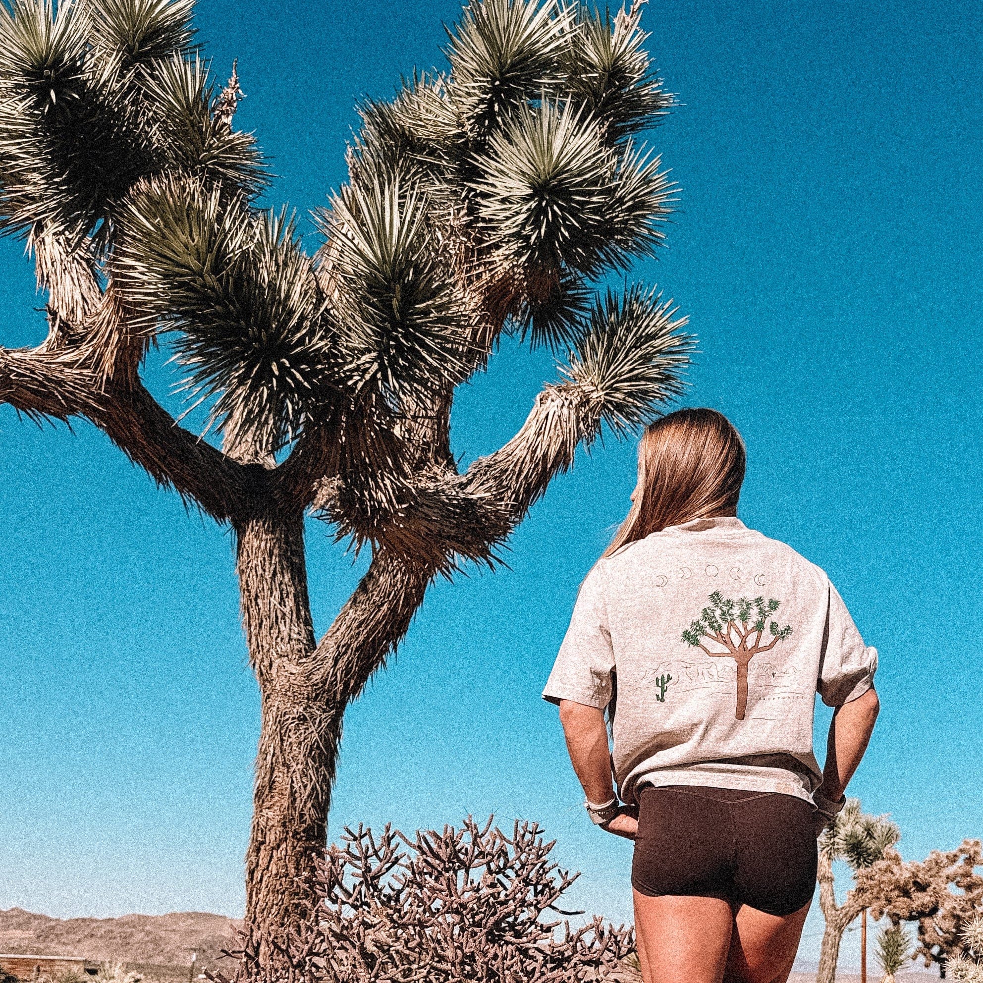 KRYPTONITE Destination: Joshua Tree, CA Tee available in Joshua Tree at JT Trading Post