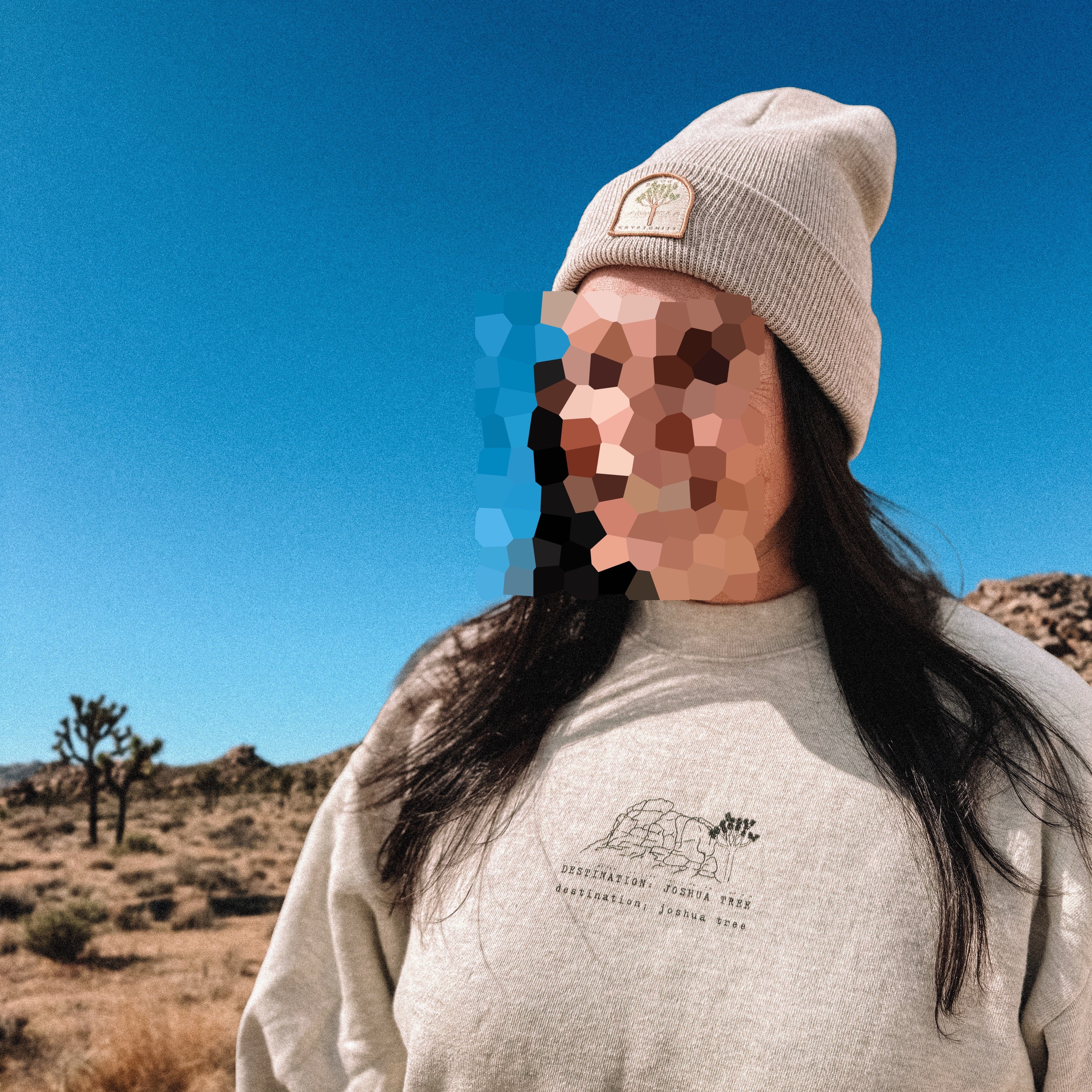 KRYPTONITE Destination: Joshua Tree Patch Beanie available in Joshua Tree at JT Trading Post