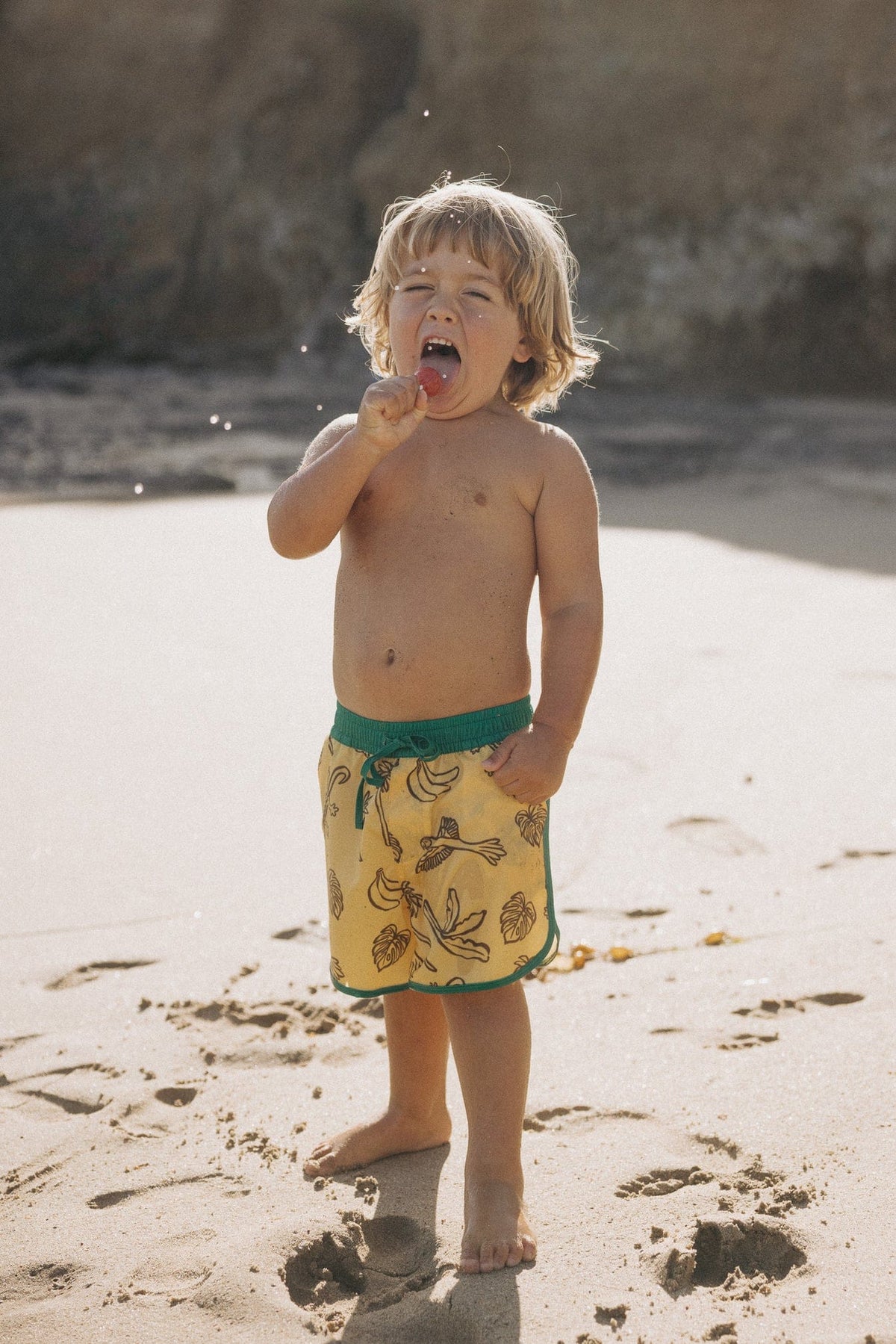 Roaming Travelers Banana Bay Boardies available in Joshua Tree at JT Trading Post