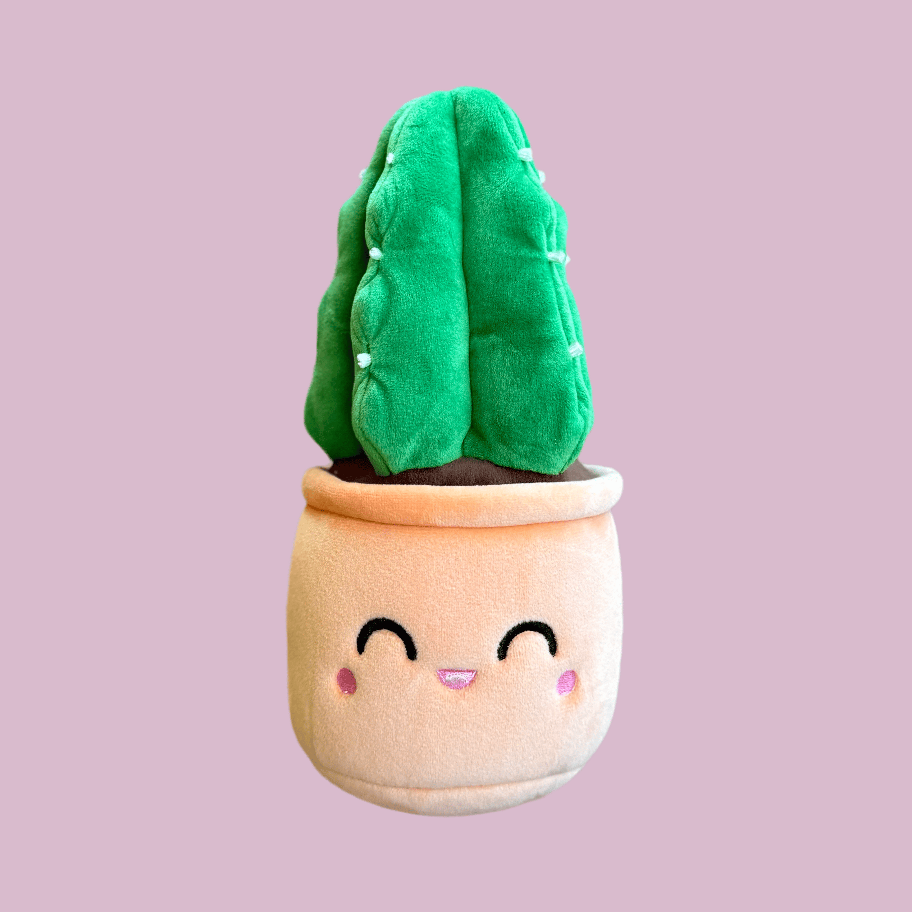 The Plant Social Cuddly Cactus Plushie available in Joshua Tree at JT Trading Post