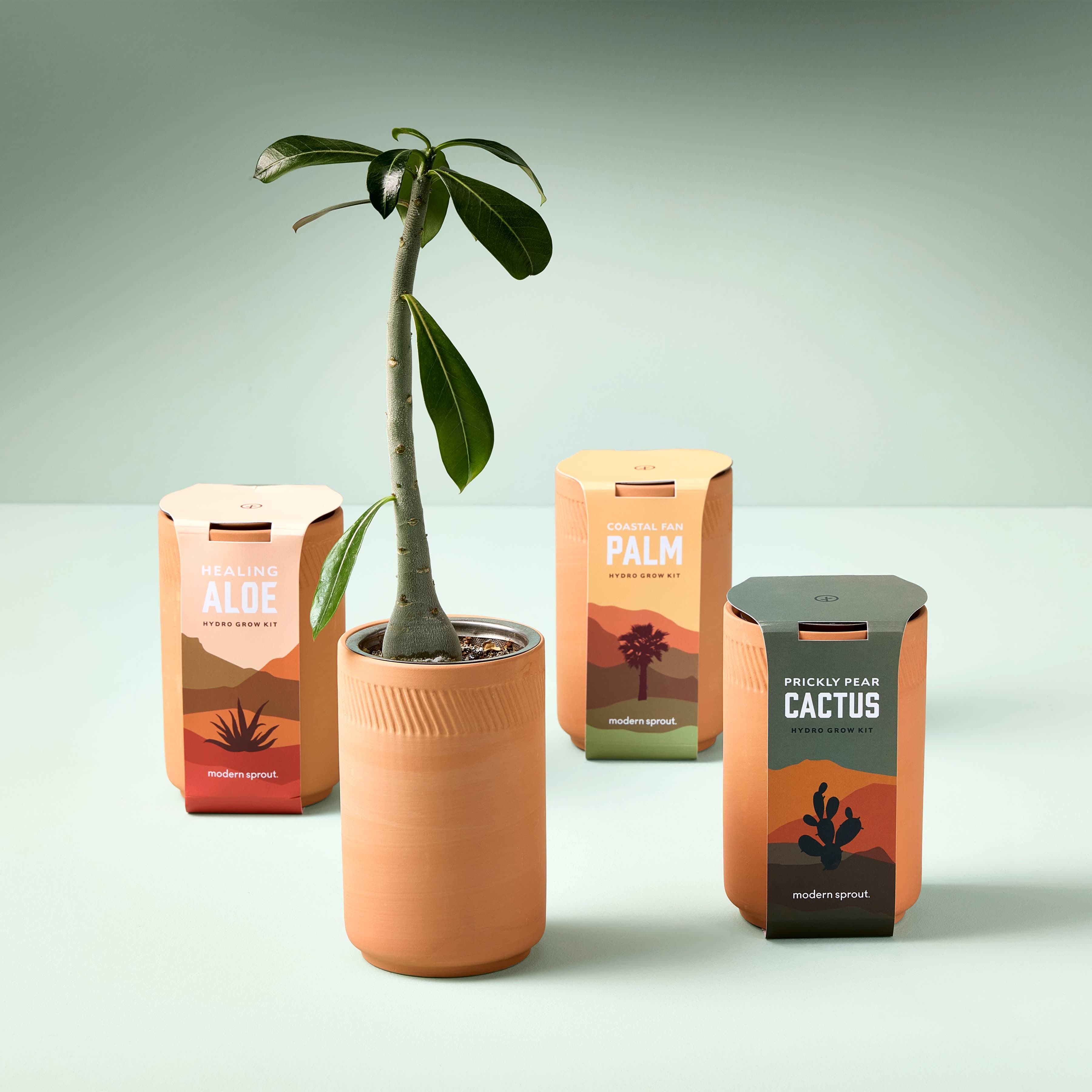 The Plant Social Terracotta Grow Kit available in Joshua Tree at JT Trading Post
