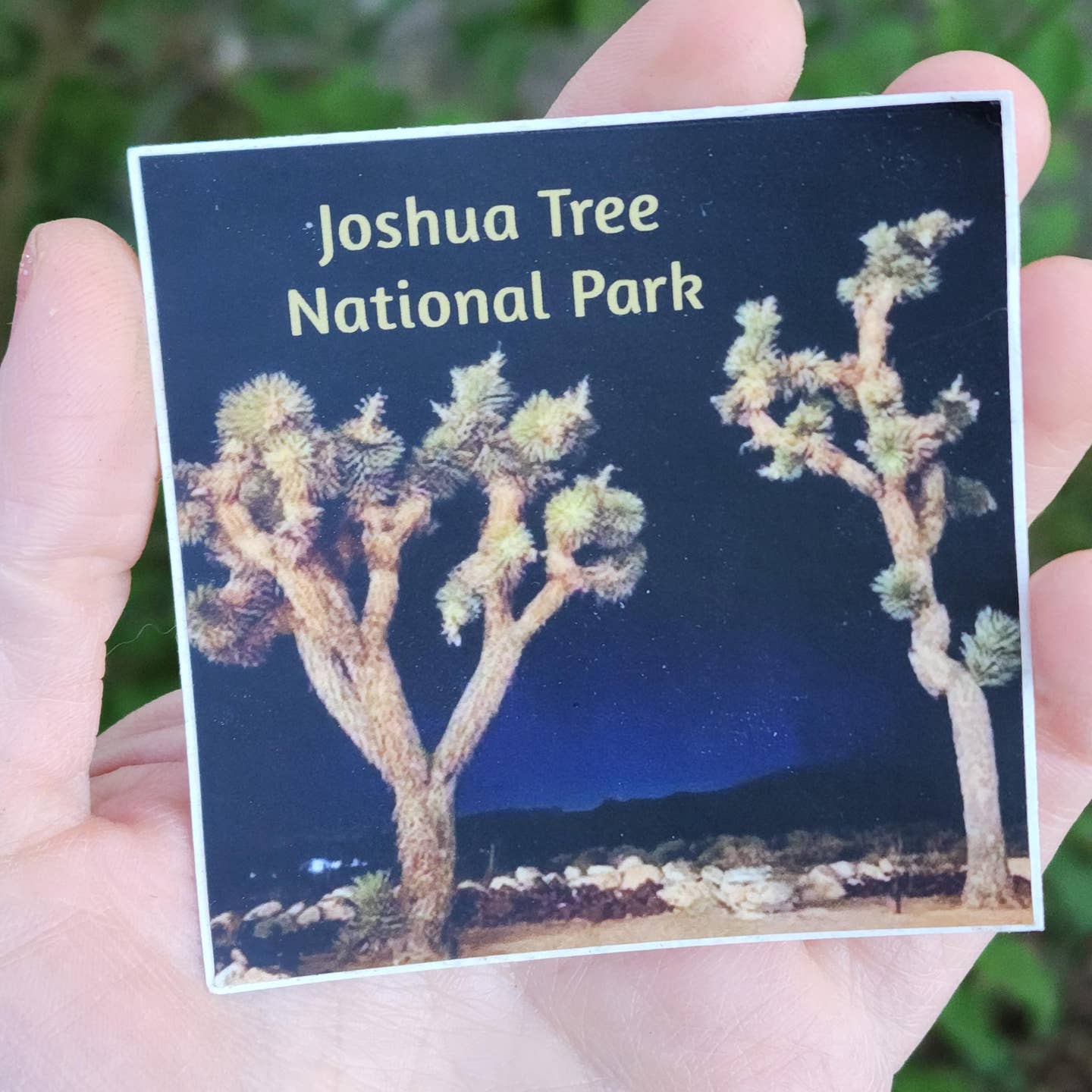 JTTP Products Joshua Tree National Park Photo Stickers available in Joshua Tree at JT Trading Post