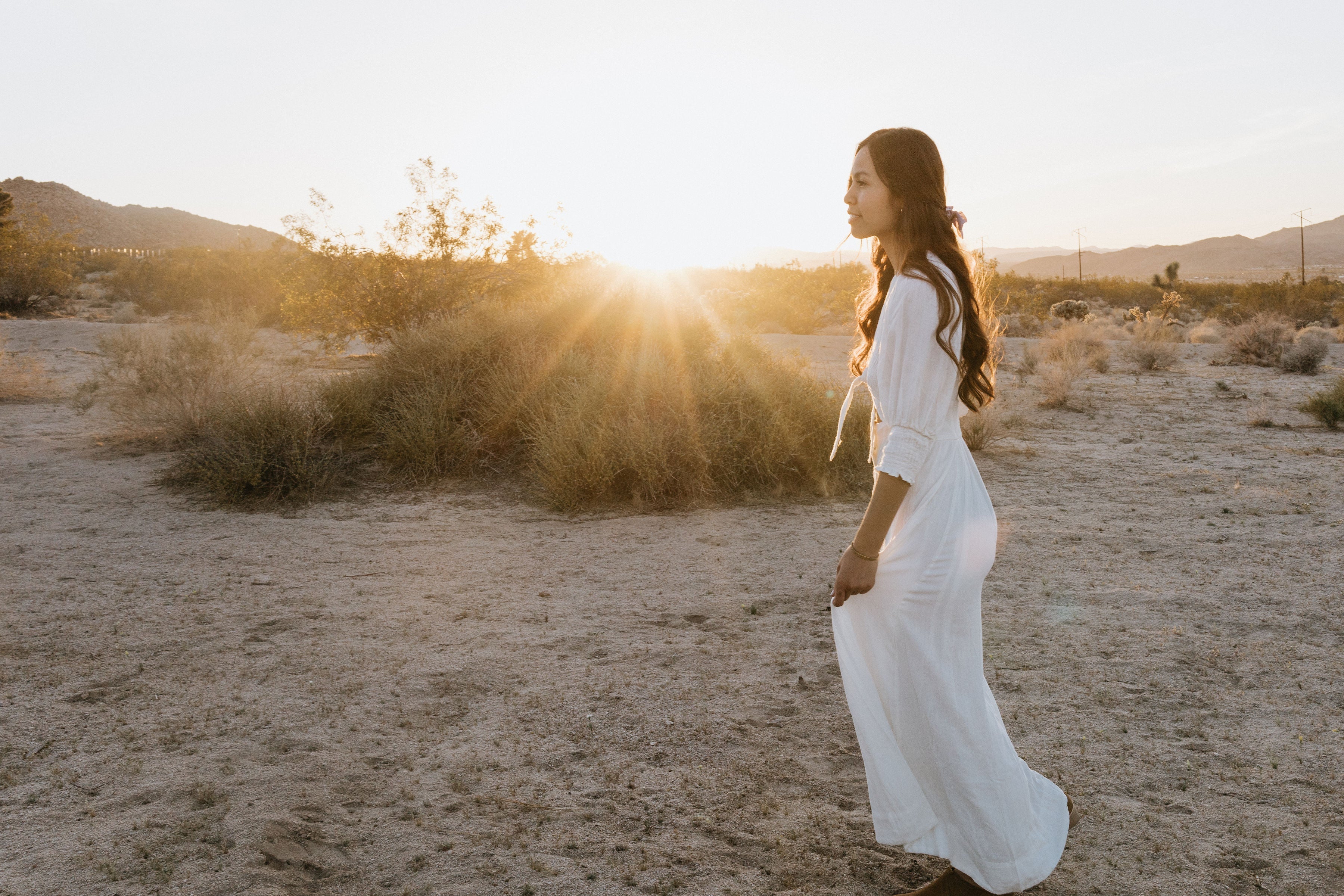 Walk Among the Flowers: Best Spring Hikes in Joshua Tree Right Now