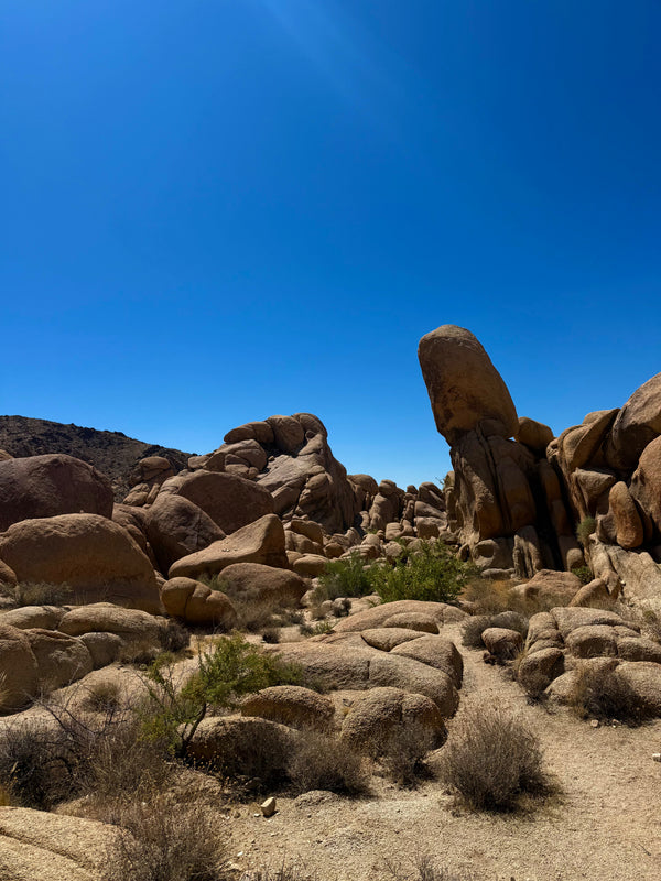 Rock Climbing in Joshua Tree: A Beginner's Guide