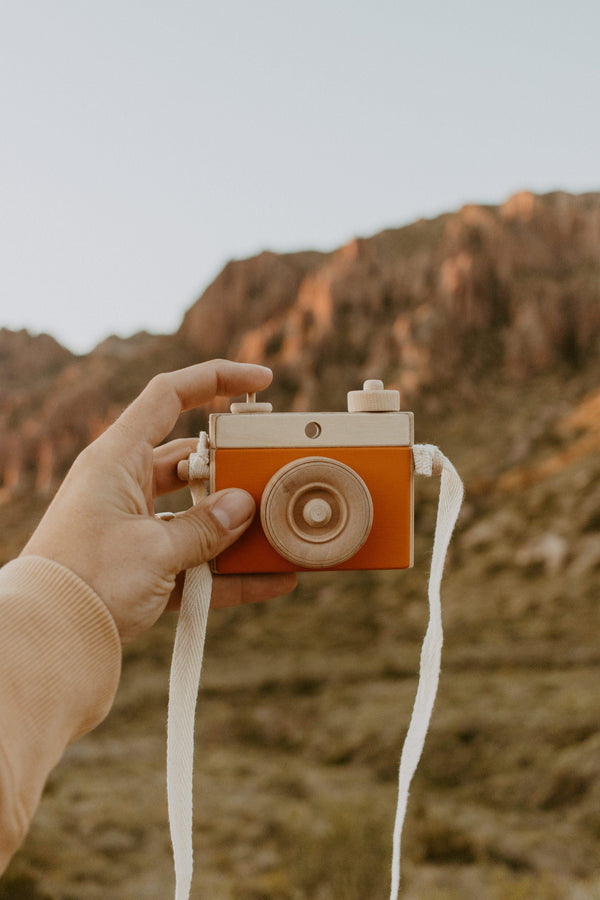 Wildflowers blooming across the desert floor at Joshua Tree National Park in spring 2026