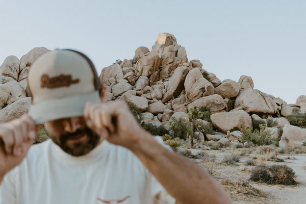 Golden sunset light illuminating Joshua Tree National Park desert landscape in spring