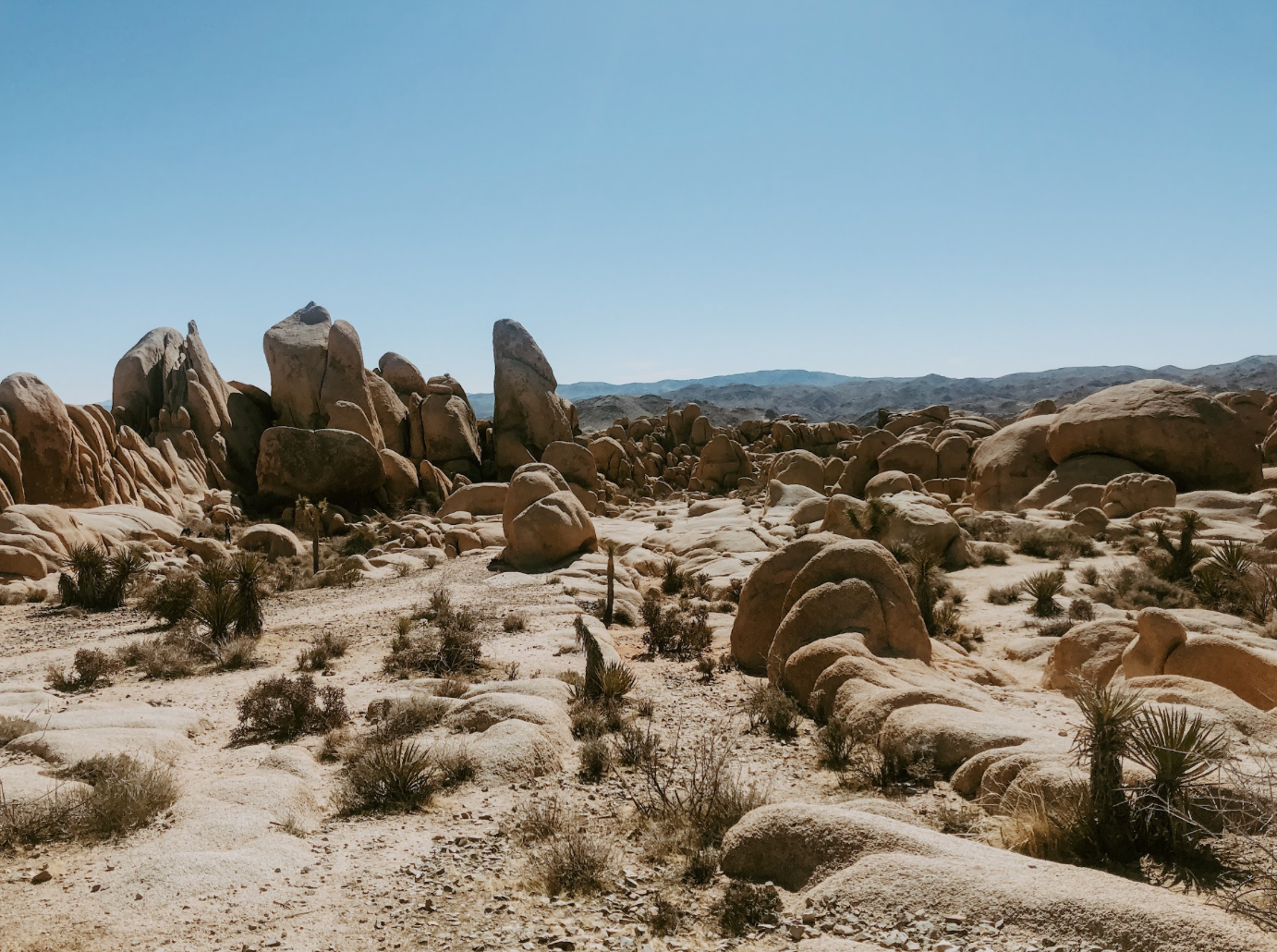 The Ancient History of Joshua Tree — Before the Tourists, Before the Park