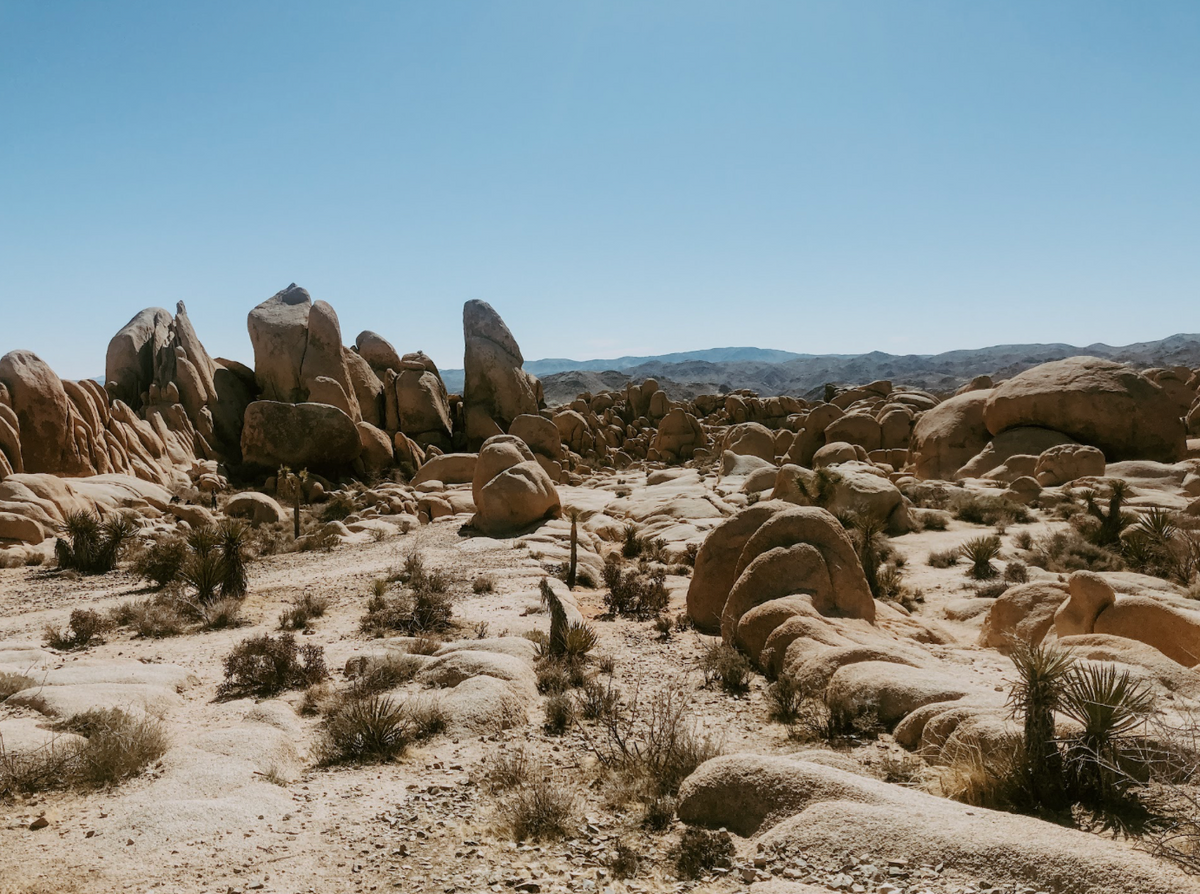 The Ancient History of Joshua Tree — Before the Tourists, Before the Park