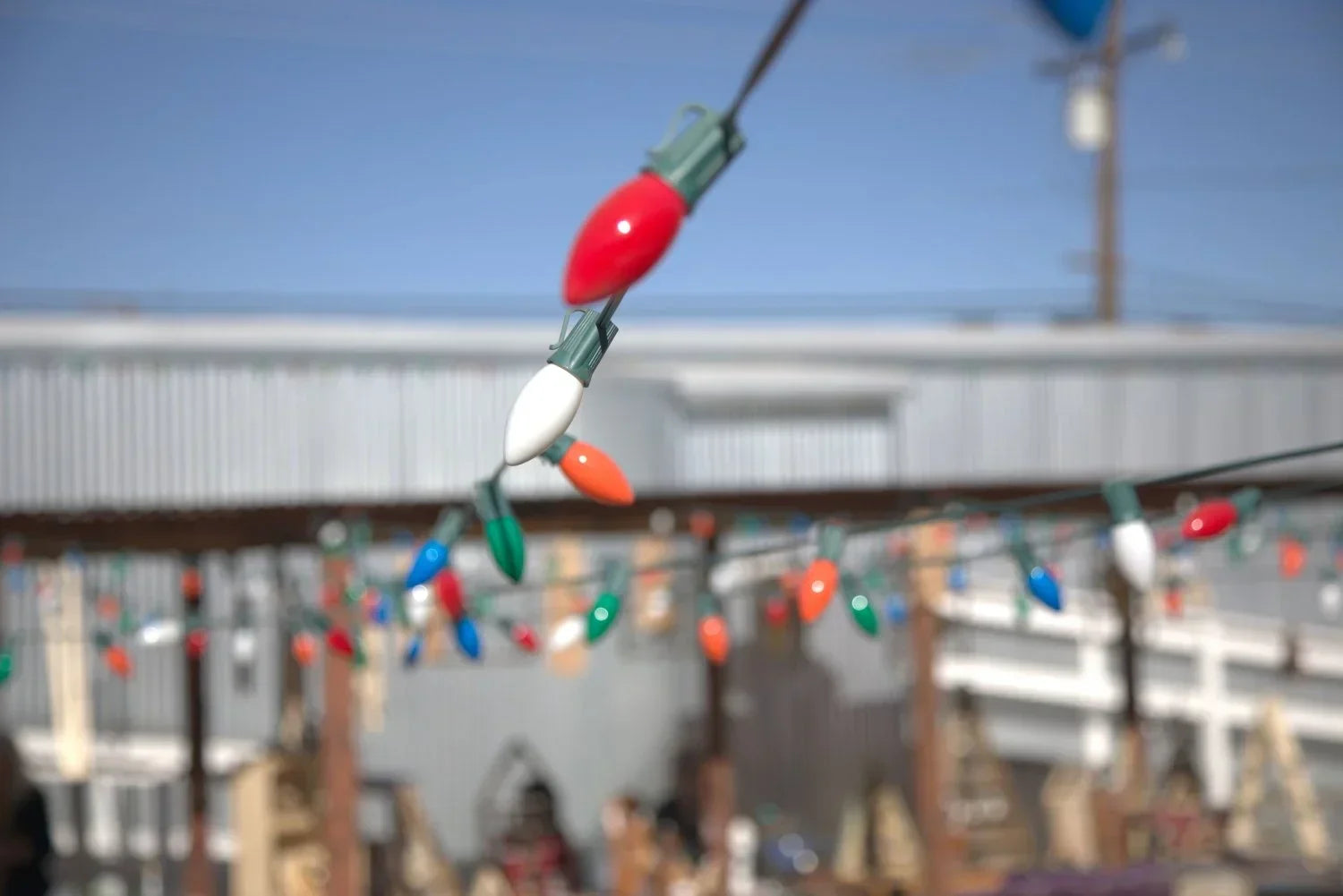 A Desert Holiday Tradition: Farm-Cut Christmas Trees at JT Trading Post