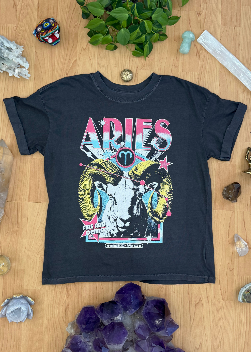 Aries Reunion Tour Vintage Black Boyfriend Tee
