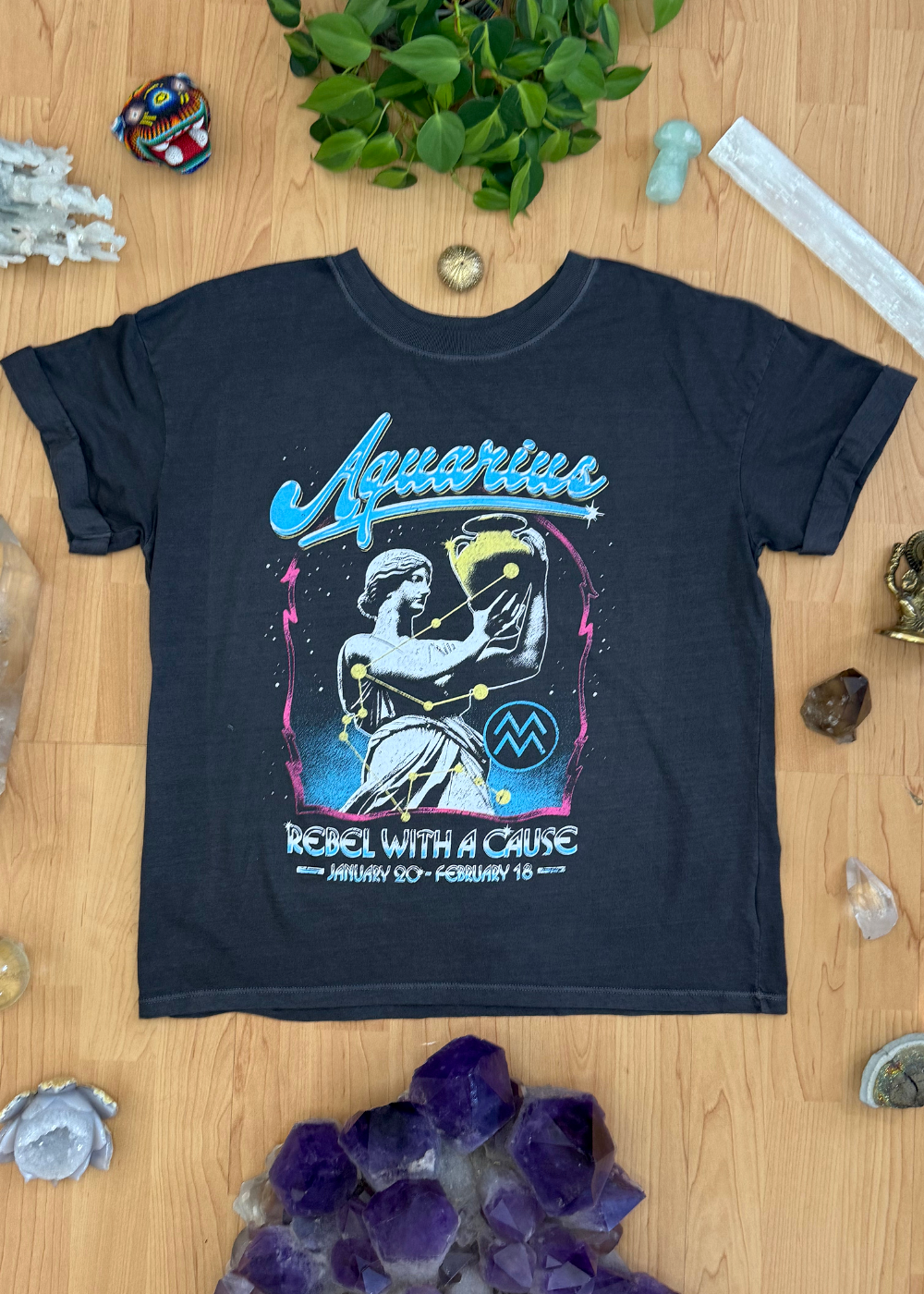 Aquarius Reunion Tour Vintage Black Boyfriend Tee