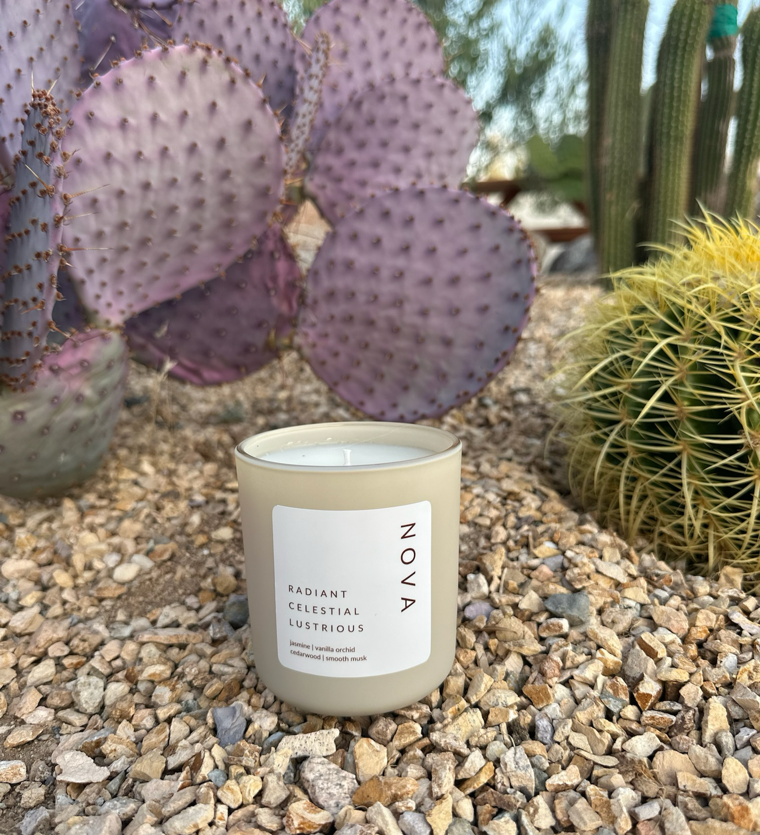 Stay with Terra Candles