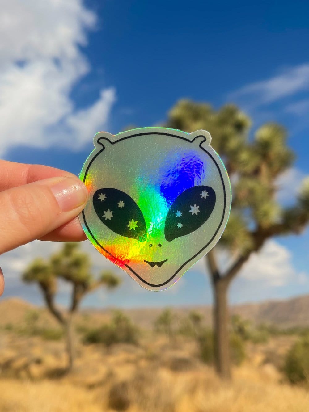 Amber Morgan Stickers By Amber available in Joshua Tree at JT Trading Post