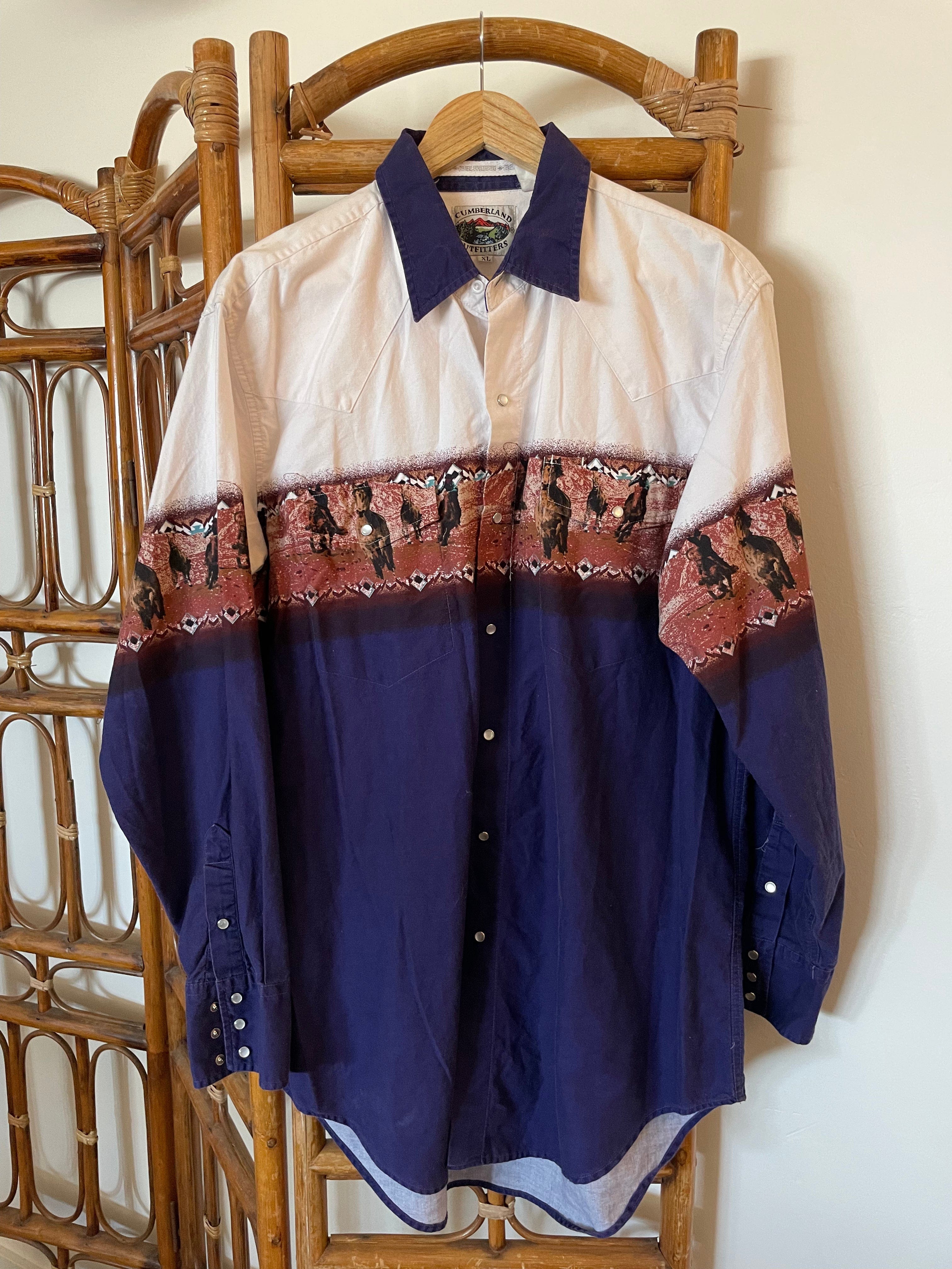 Desert Dreaming Vintage Vintage western scene pearlsnap Sz XL