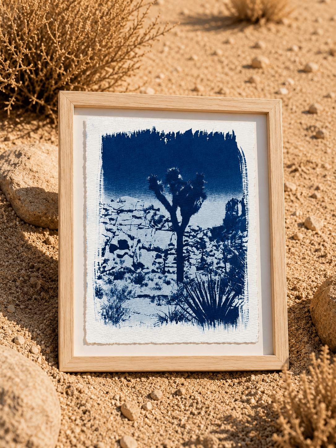 August Sun Joshua Tree Silhouette | Cyanotype Print available in Joshua Tree at JT Trading Post