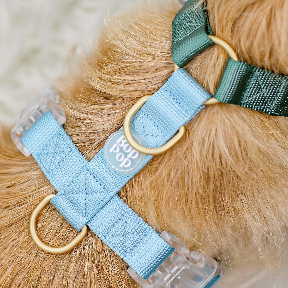 Bop Pop Pets Dog Harness in Green Sky Blue Straps | Hunter Sky available in Joshua Tree at JT Trading Post