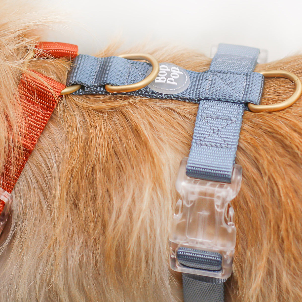 Bop Pop Pets Dog Harness in Orange Blue Straps | Desert Dawn available in Joshua Tree at JT Trading Post