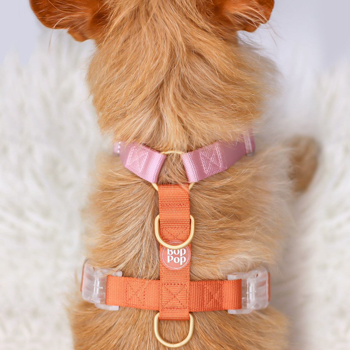 Bop Pop Pets Dog Harness in Pink Orange Straps | Cloudberry available in Joshua Tree at JT Trading Post