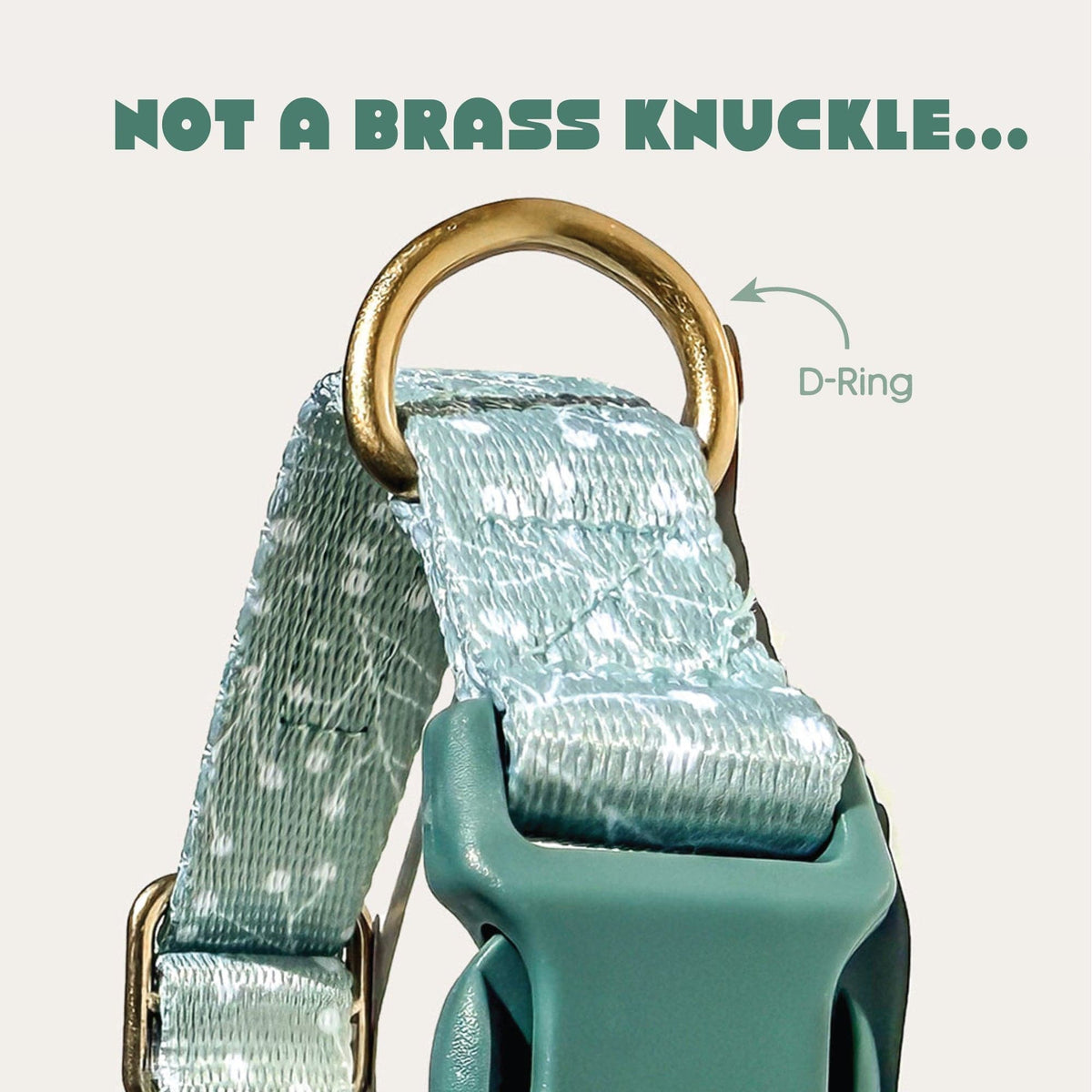 Bop Pop Pets Juniper Dog Collar available in Joshua Tree at JT Trading Post