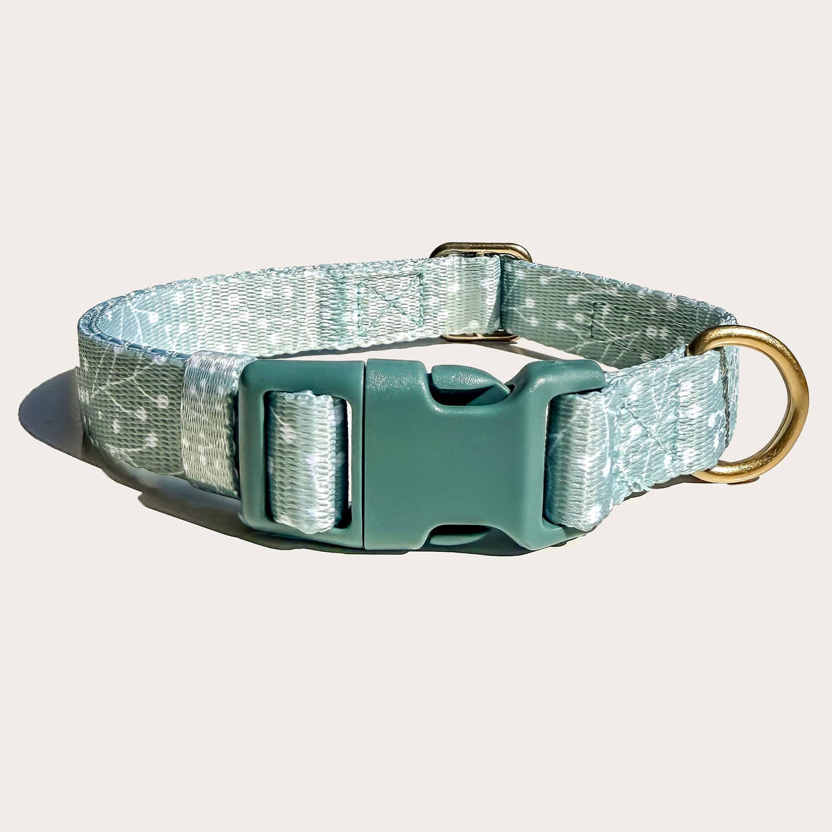 Bop Pop Pets Juniper Dog Collar available in Joshua Tree at JT Trading Post