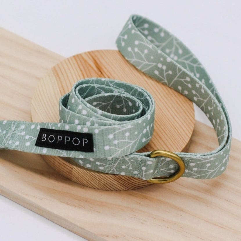 Bop Pop Pets Juniper Dog Leash available in Joshua Tree at JT Trading Post