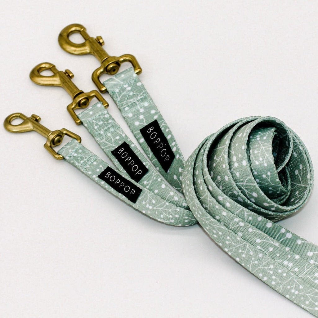 Bop Pop Pets Juniper Dog Leash available in Joshua Tree at JT Trading Post