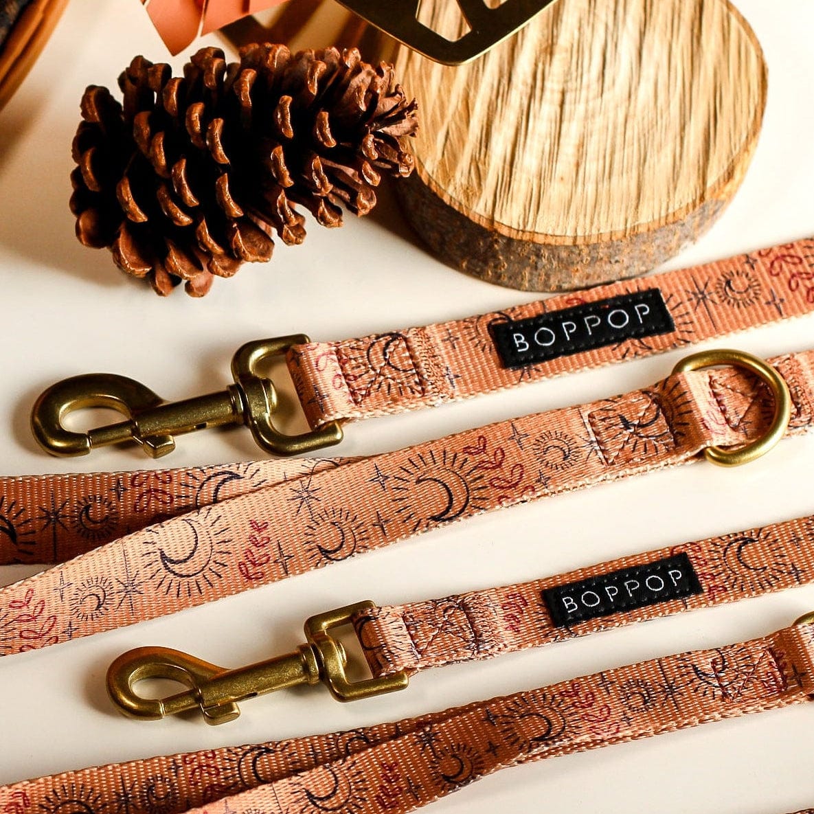 Bop Pop Pets Moonstar Dog Leash available in Joshua Tree at JT Trading Post