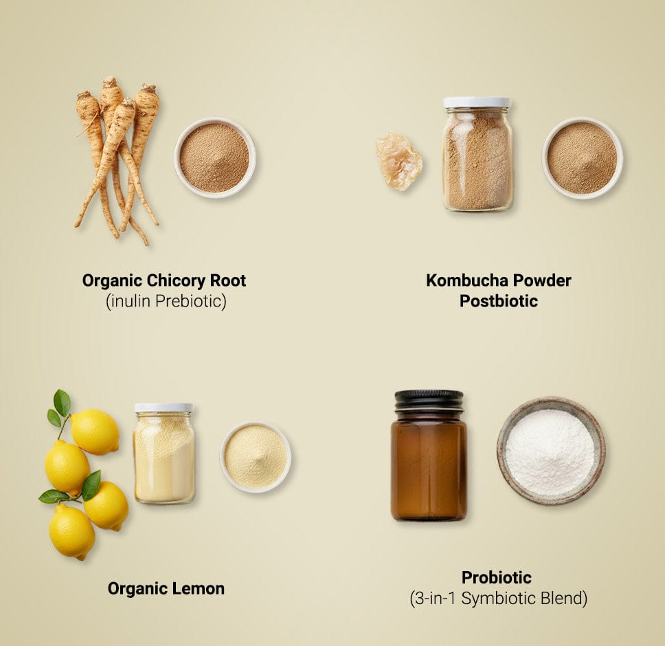 JTTP Eats Kobu Kombucha Powder | Lemon Ginger available in Joshua Tree at JT Trading Post
