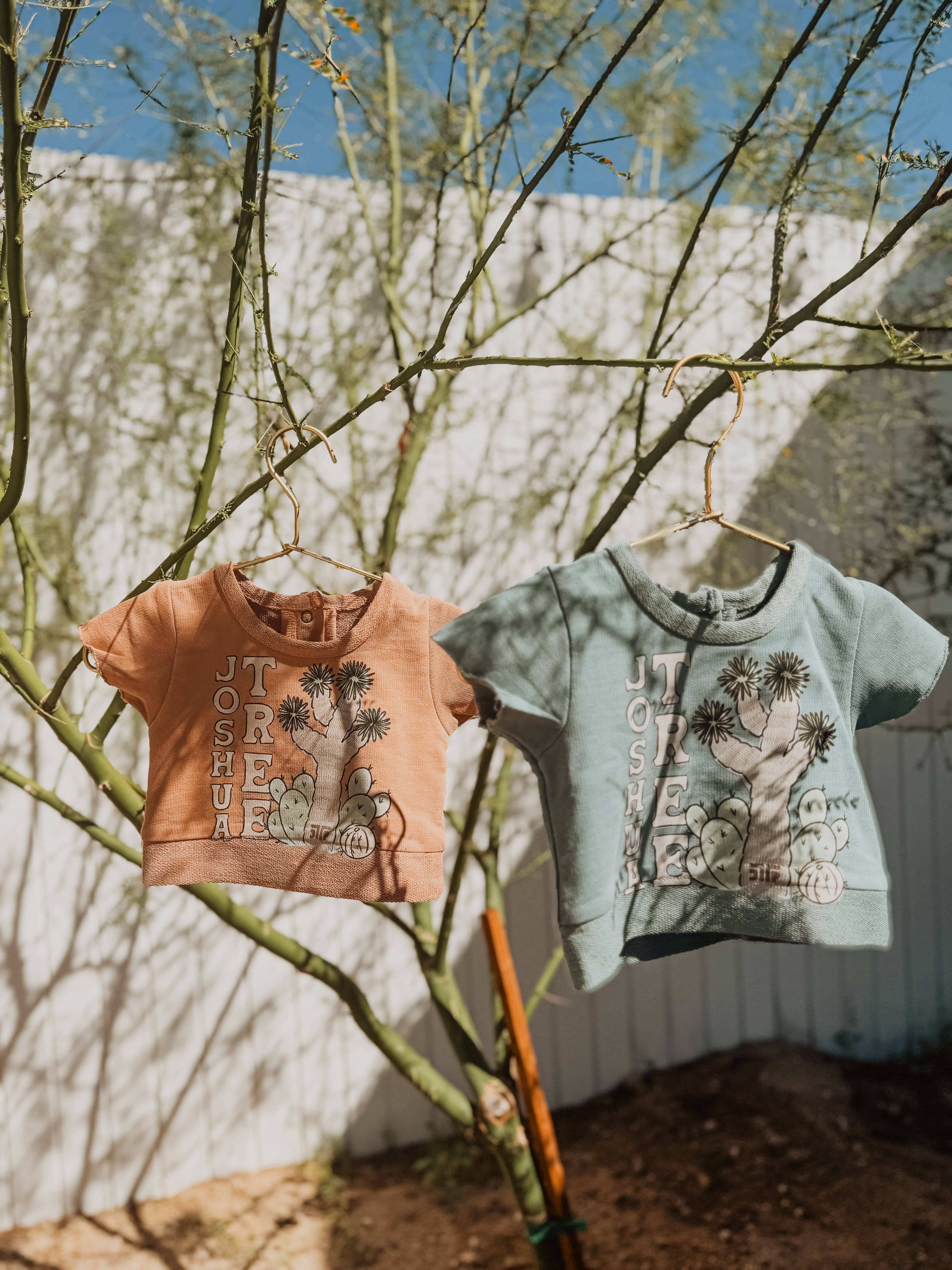 JTTP Originals JT Organic French Terry Tee available in Joshua Tree at JT Trading Post
