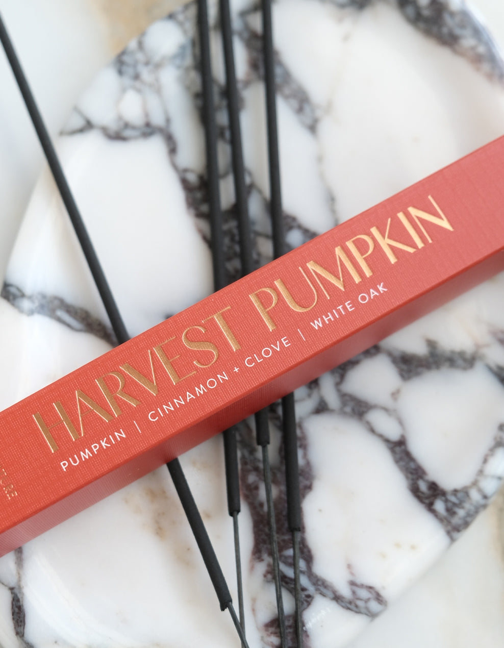 JTTP Products Botanica Holiday Incense: Harvest Pumpkin available in Joshua Tree at JT Trading Post