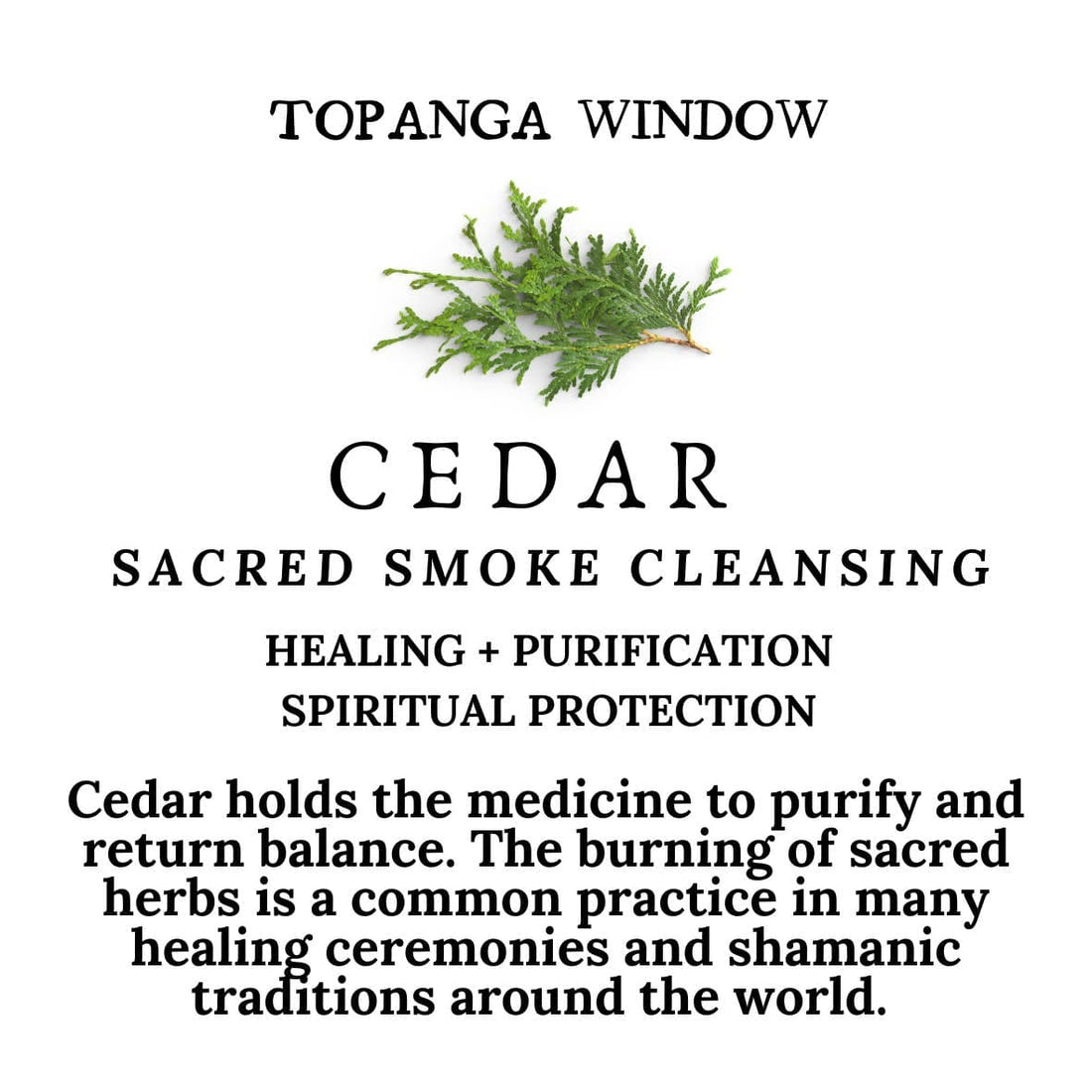 JTTP Products Cedar Smoke Cleansing Stick + Rosemary, Thyme + Cinnamon available in Joshua Tree at JT Trading Post