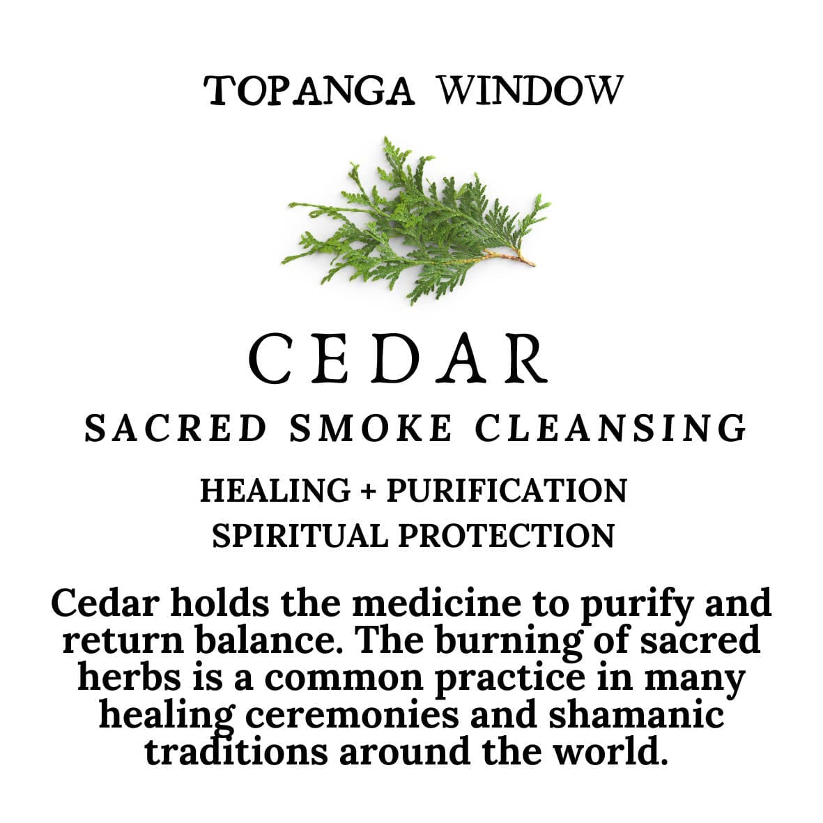 JTTP Products Cedar Smoke Cleansing Stick + Rosemary, Thyme + Cinnamon available in Joshua Tree at JT Trading Post