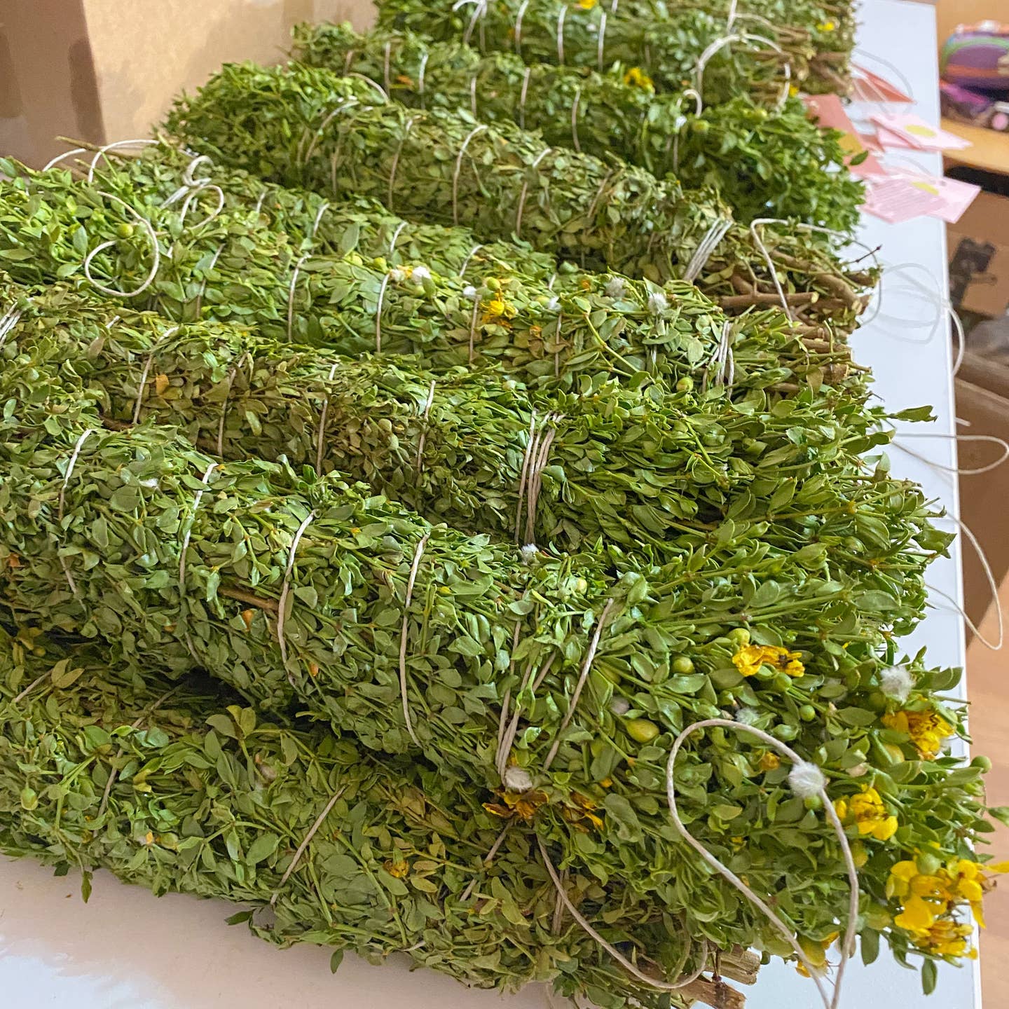 JTTP Products Creosote Bush (Chaparral) Shower Hanging Bundle available in Joshua Tree at JT Trading Post