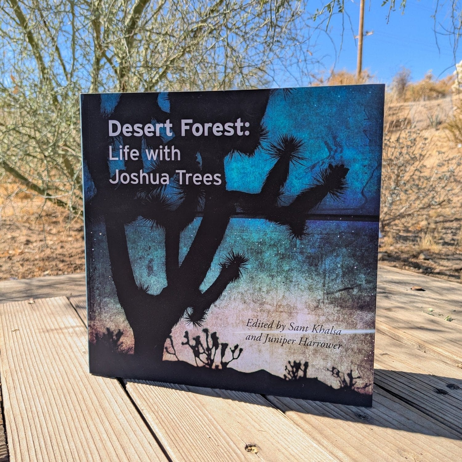 JTTP Products Desert Forest Life With Joshua Trees available in Joshua Tree at JT Trading Post