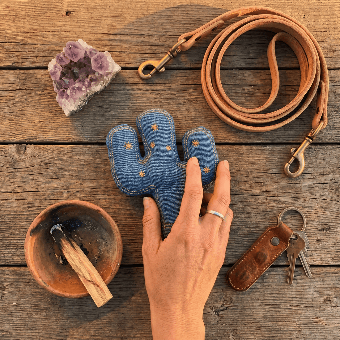 JTTP Products Evening Saguaro Plush Crinkle Dog Toy With Squeaker available in Joshua Tree at JT Trading Post