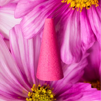 JTTP Products Houseplant By Ripple⁺ Ash & Scent Set available in Joshua Tree at JT Trading Post