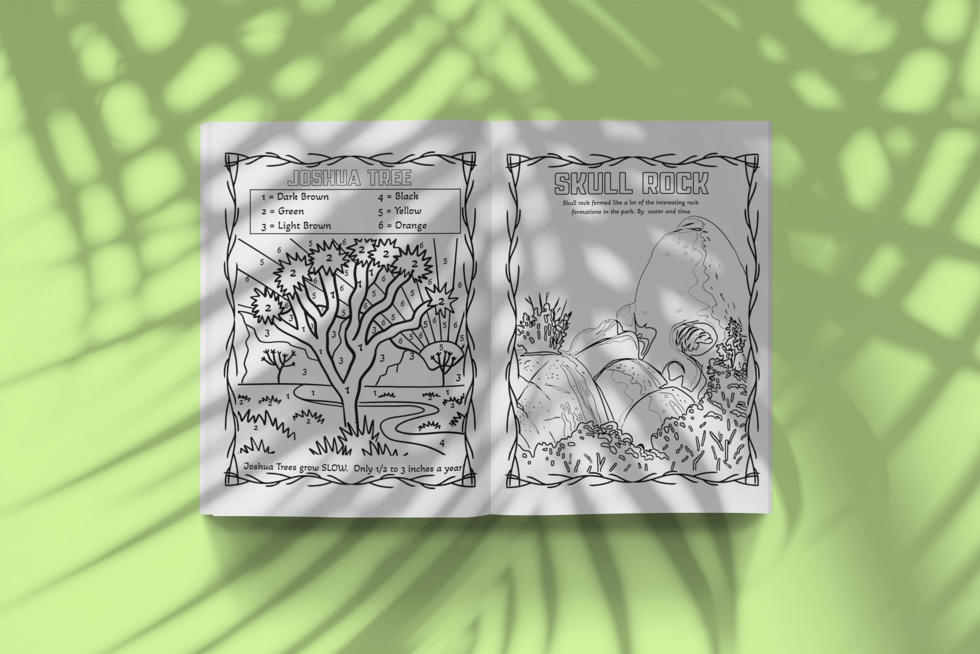 JTTP Products Joshua Tree National Park Activity Book available in Joshua Tree at JT Trading Post