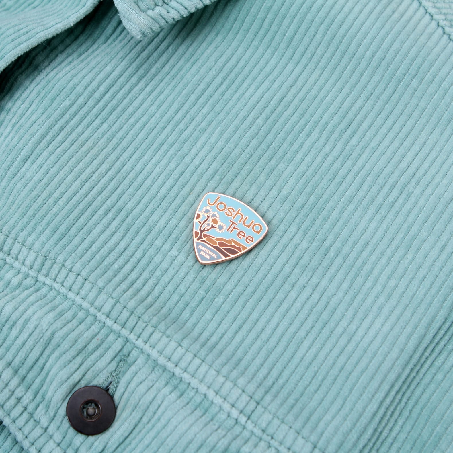 JTTP Products Joshua Tree Park Pin available in Joshua Tree at JT Trading Post