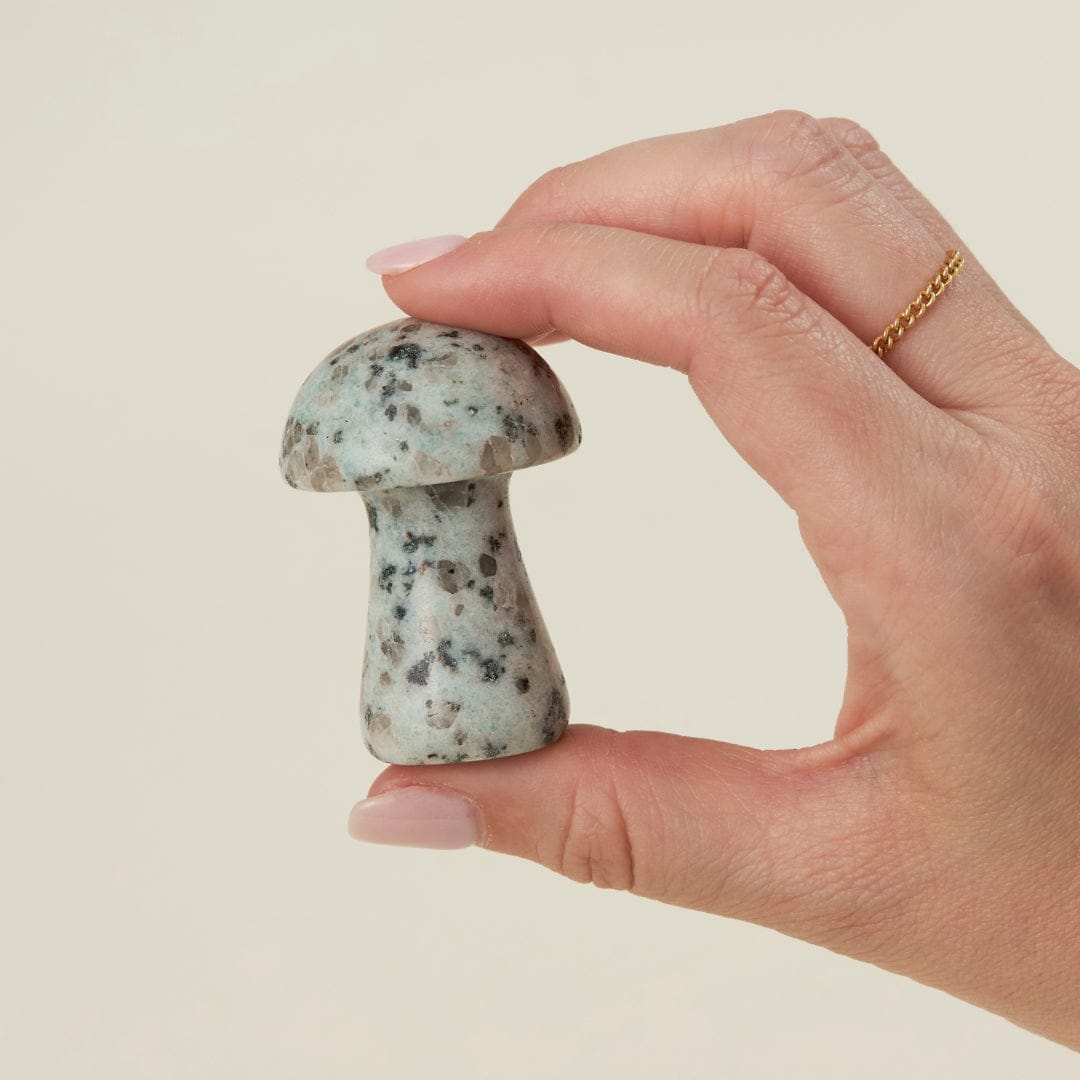 JTTP Products Stone Mushroom | Assorted available in Joshua Tree at JT Trading Post