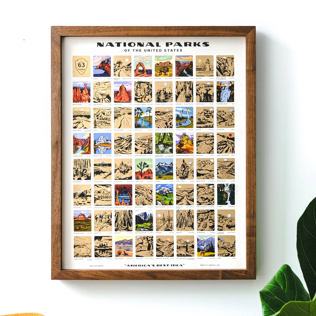 JTTP Products National Parks Scratch-Off Print | Tube available in Joshua Tree at JT Trading Post