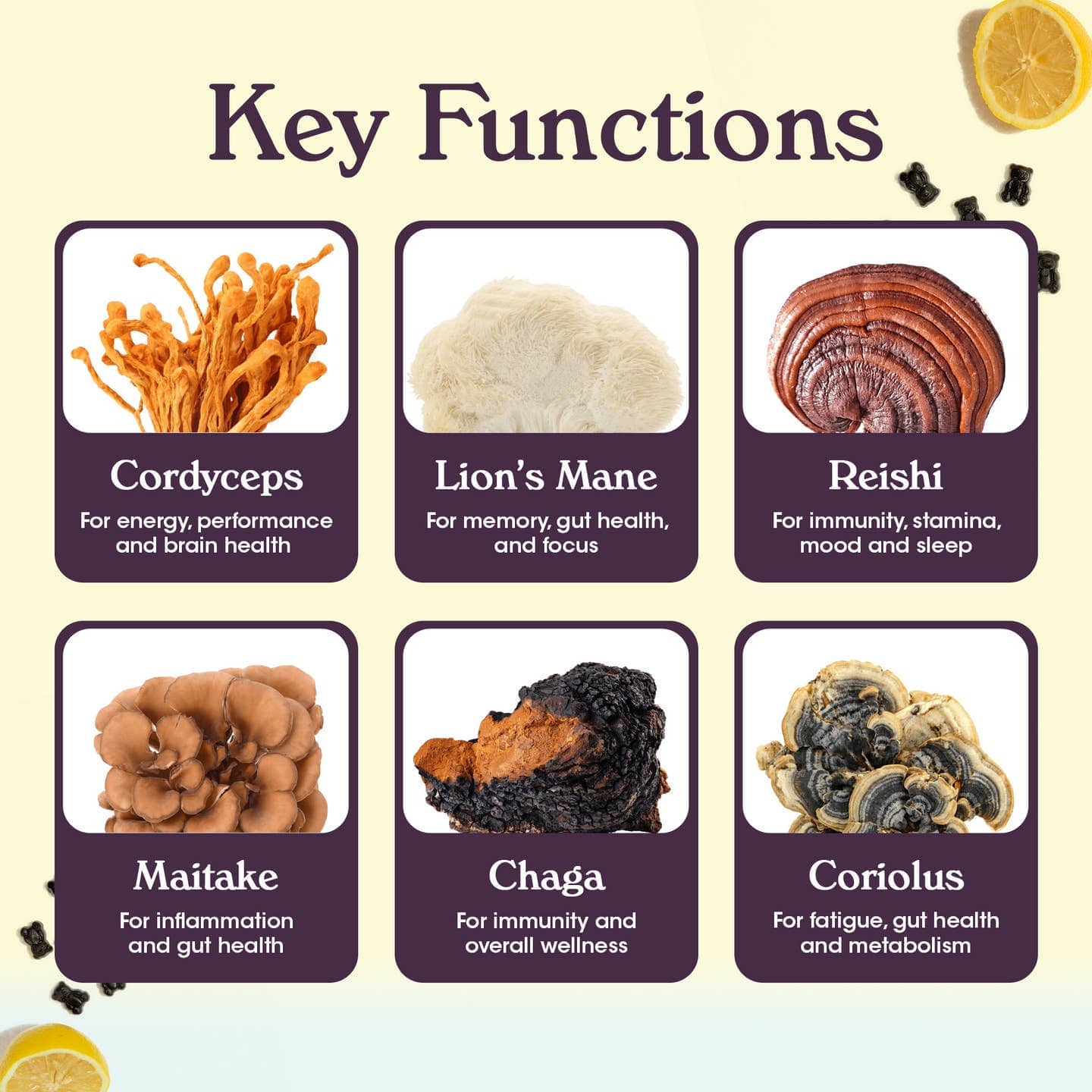 JTTP Products Nütrops Adult Functional Nootropics Gummies, 14 Servings available in Joshua Tree at JT Trading Post