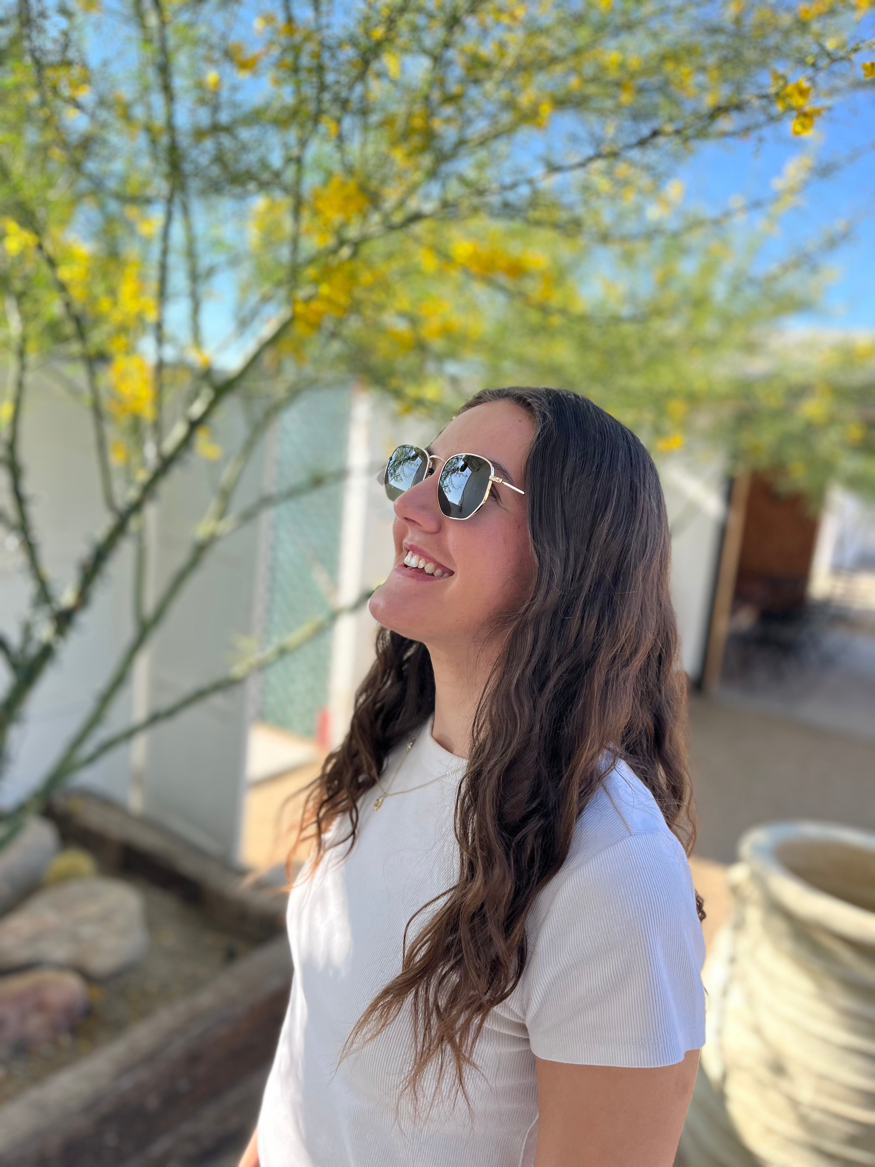 JTTP Products Roxbury Gold by DIME | Polarized Sunglasses available in Joshua Tree at JT Trading Post