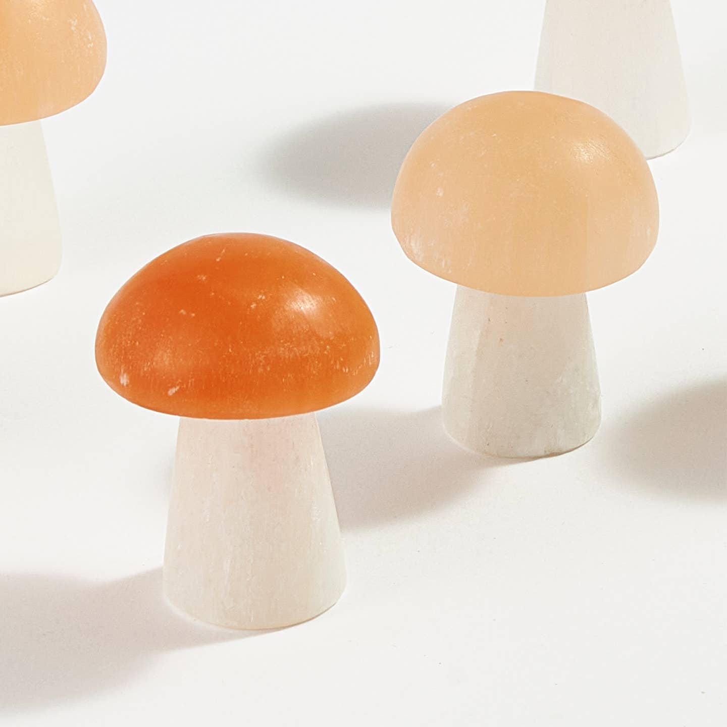 JTTP Products Selenite Mushroom available in Joshua Tree at JT Trading Post