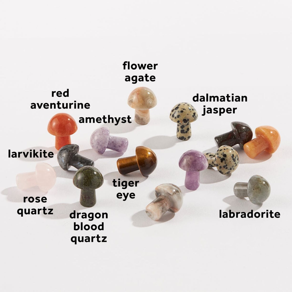 JTTP Products Stone Mushroom | Assorted available in Joshua Tree at JT Trading Post