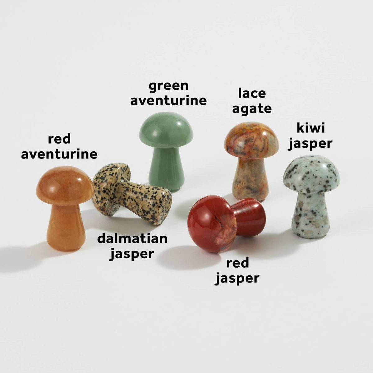 JTTP Products Stone Mushroom | Assorted available in Joshua Tree at JT Trading Post