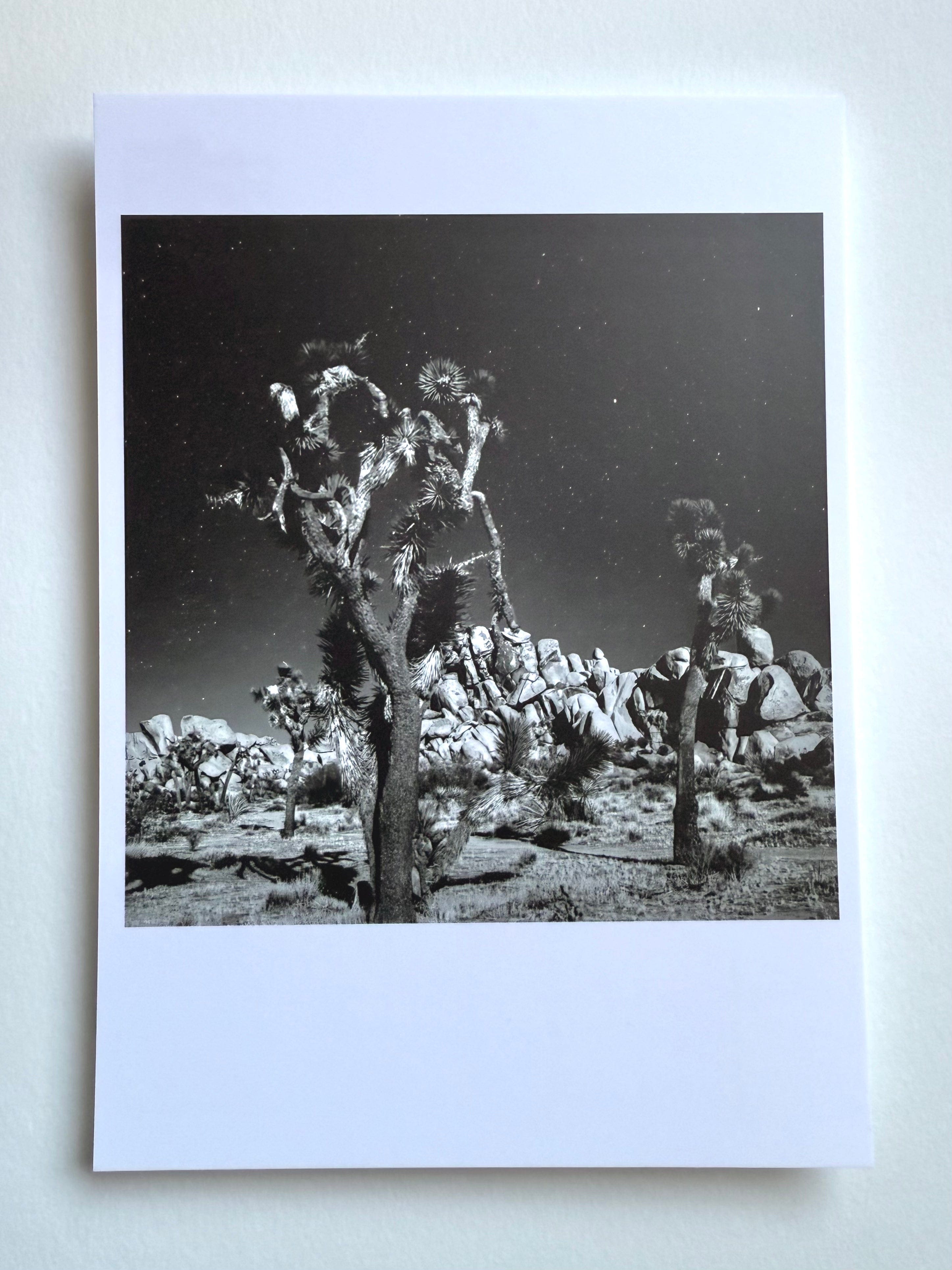 kreaturetown Postcard Photo:  Night Sky, JTNP available in Joshua Tree at JT Trading Post