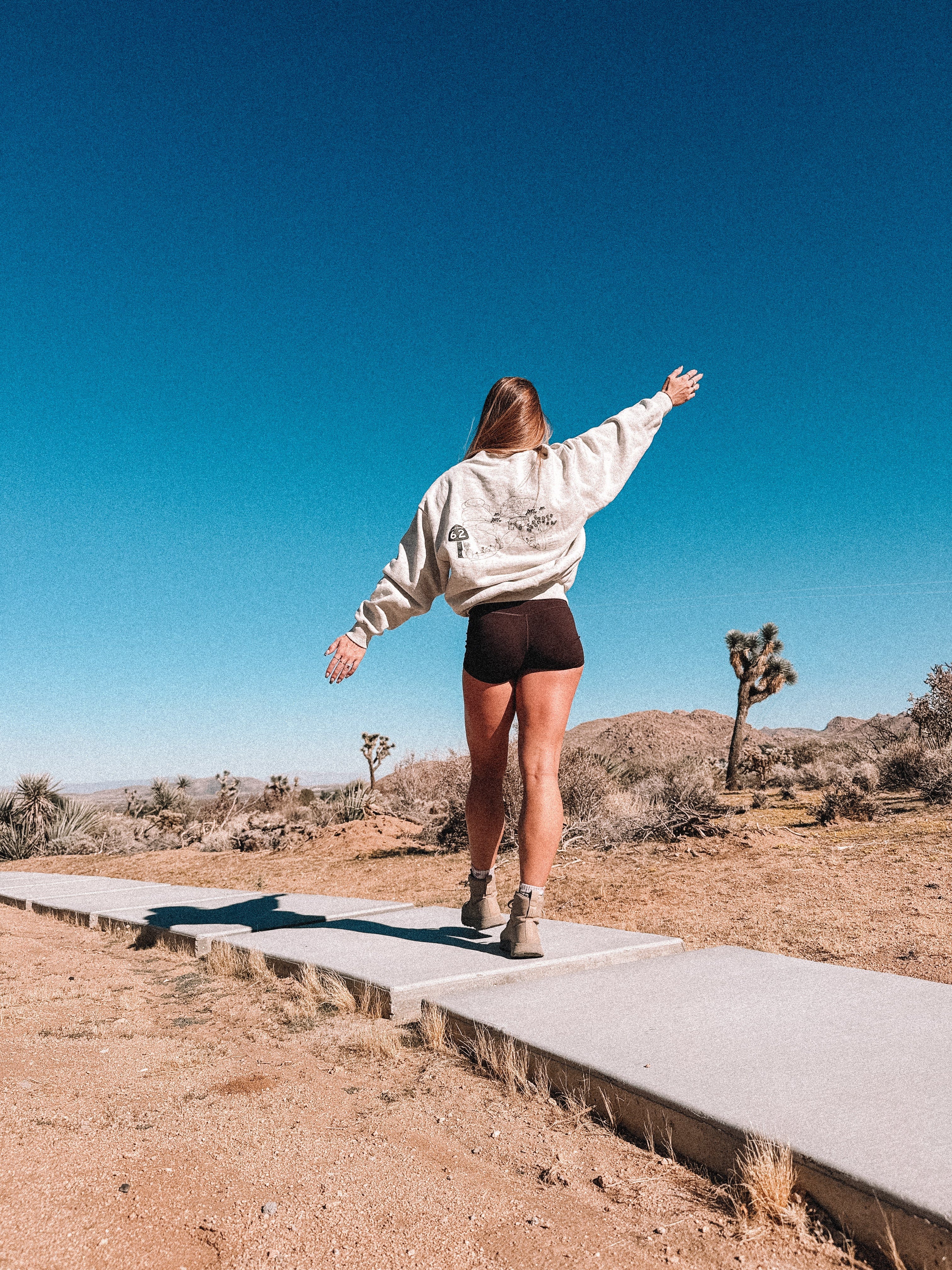KRYPTONITE Destination: Joshua Tree Oversized Crew Neck available in Joshua Tree at JT Trading Post