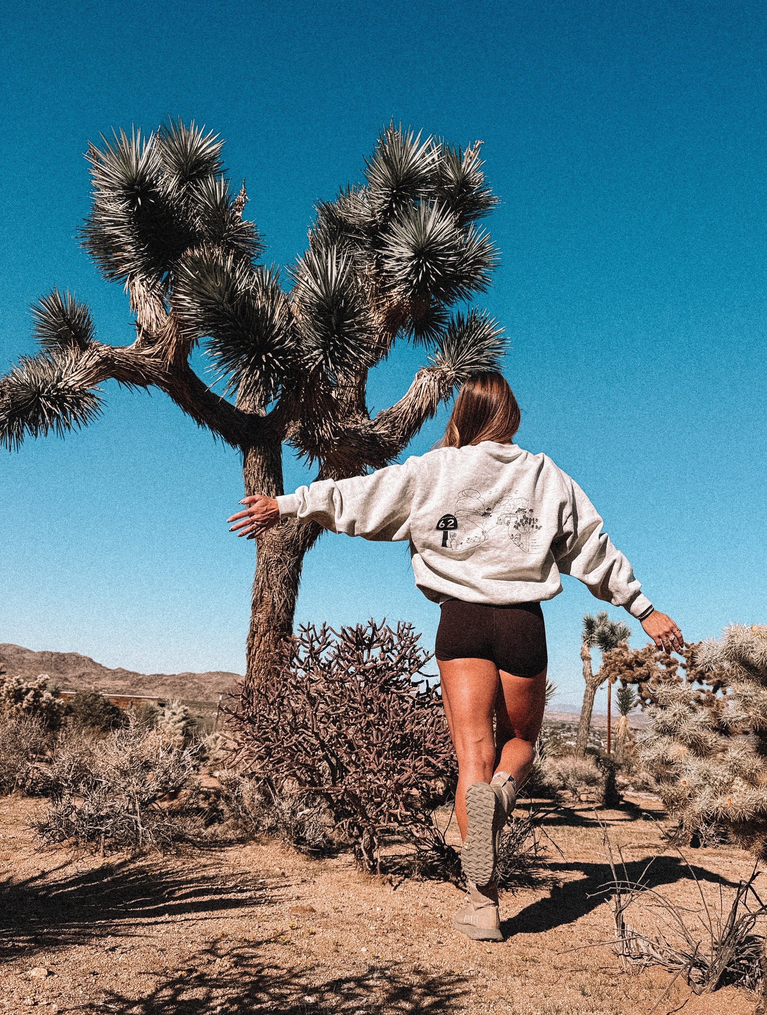 KRYPTONITE Destination: Joshua Tree Oversized Crew Neck available in Joshua Tree at JT Trading Post